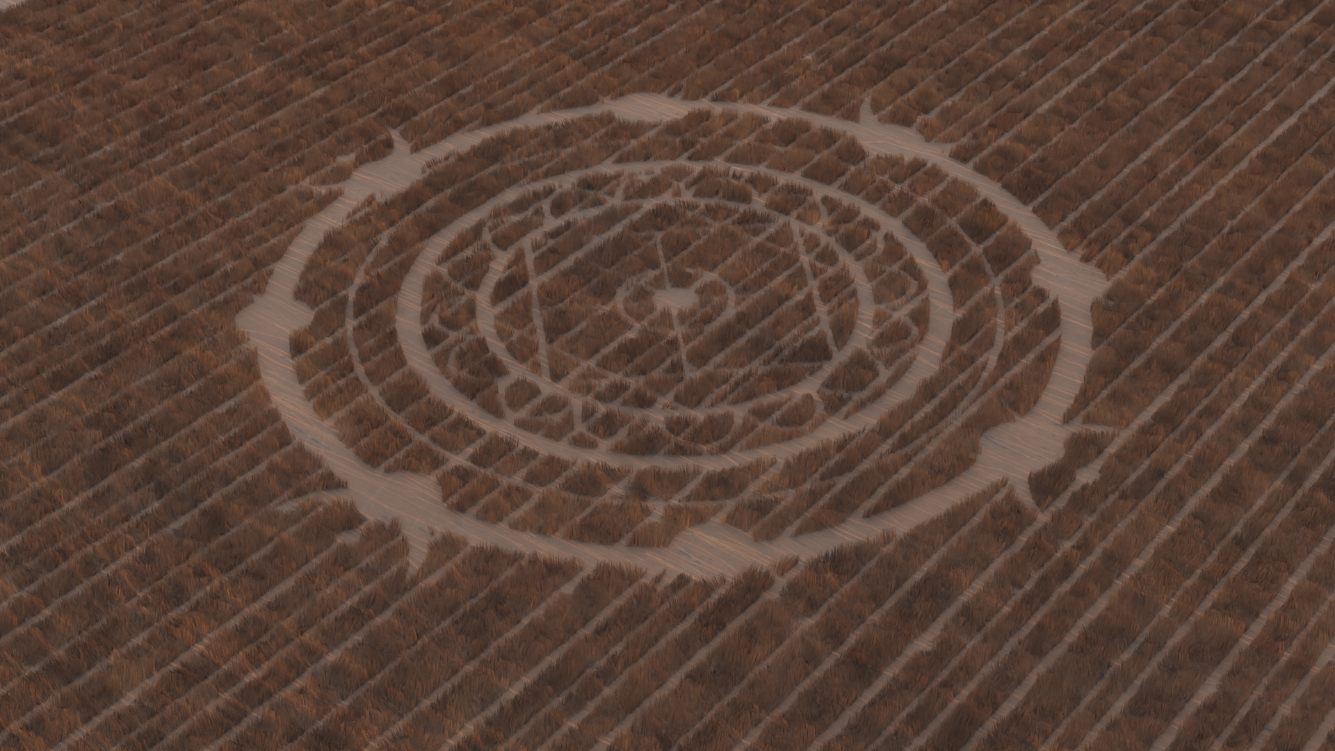crop circle.png