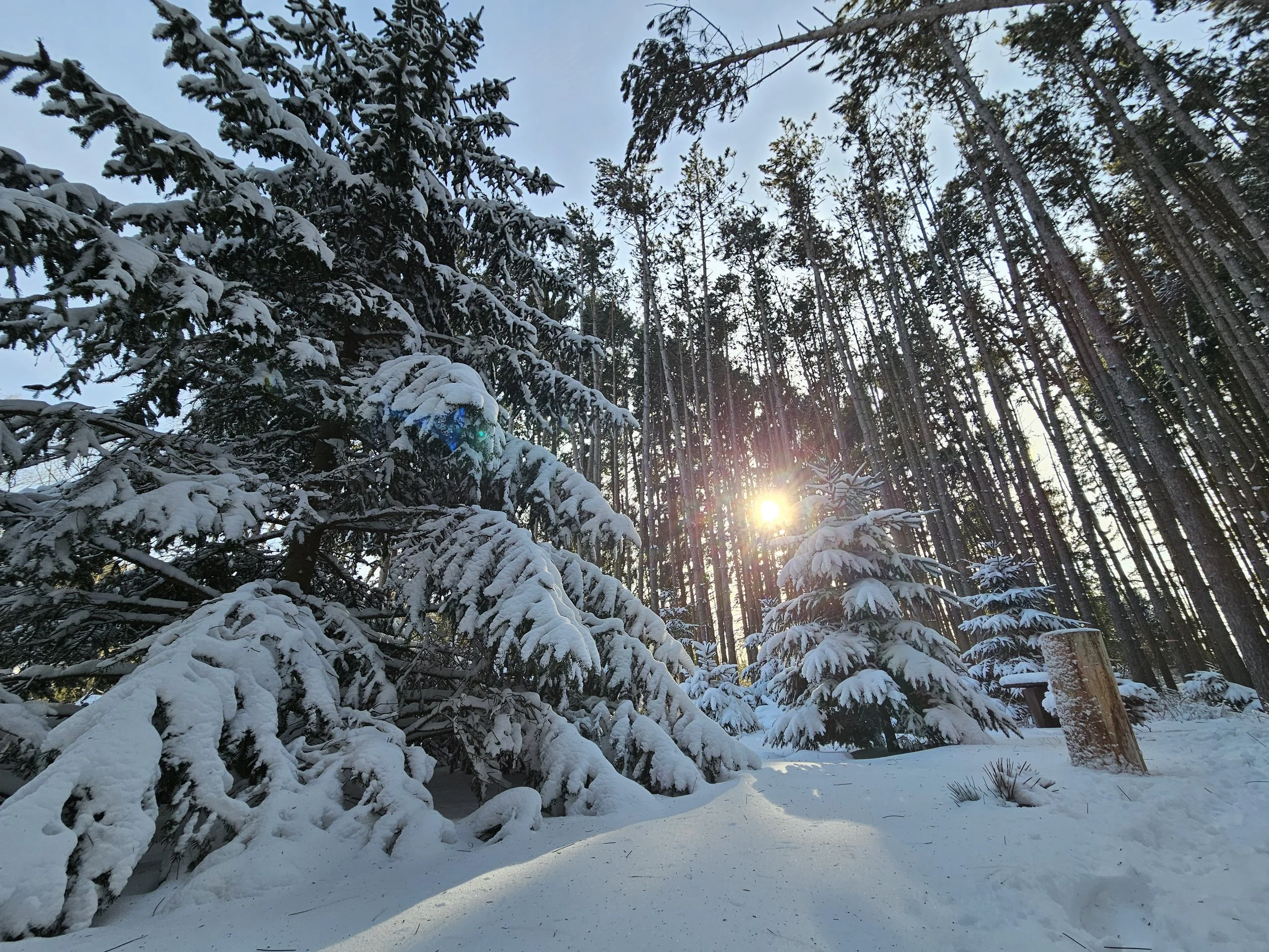 20260316_171020.jpg