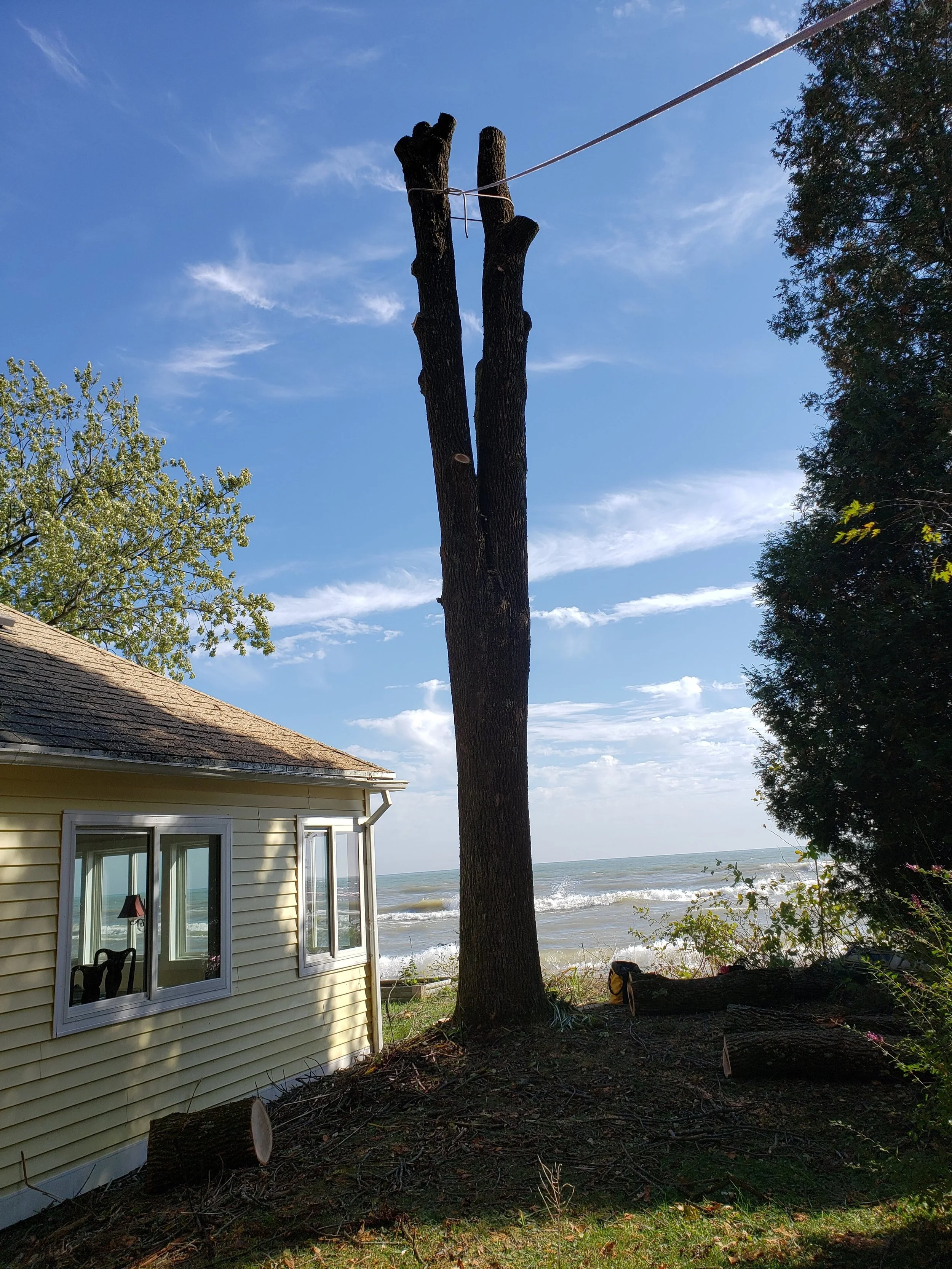20191019_121435.jpg