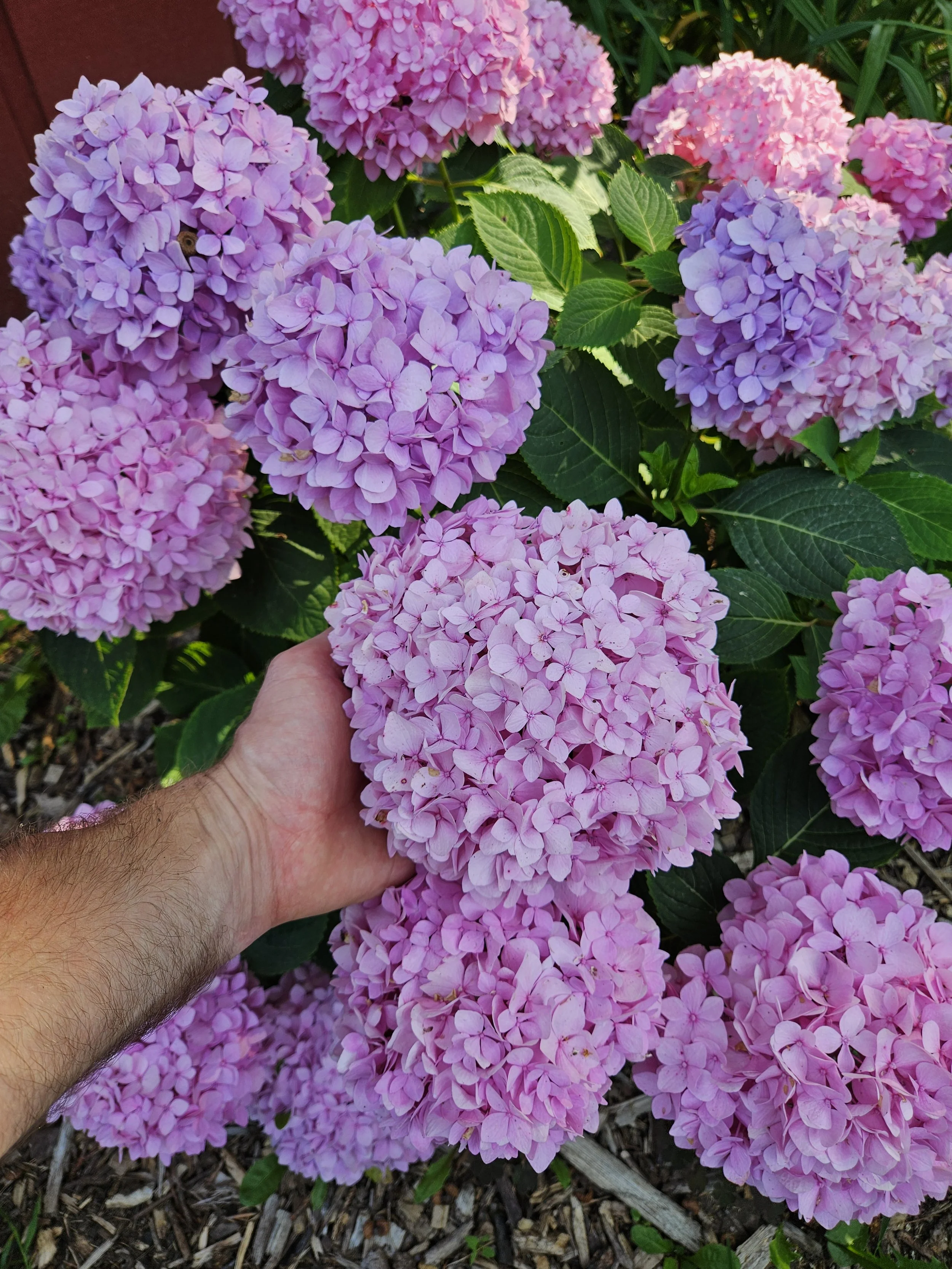 20250729_170916.jpg