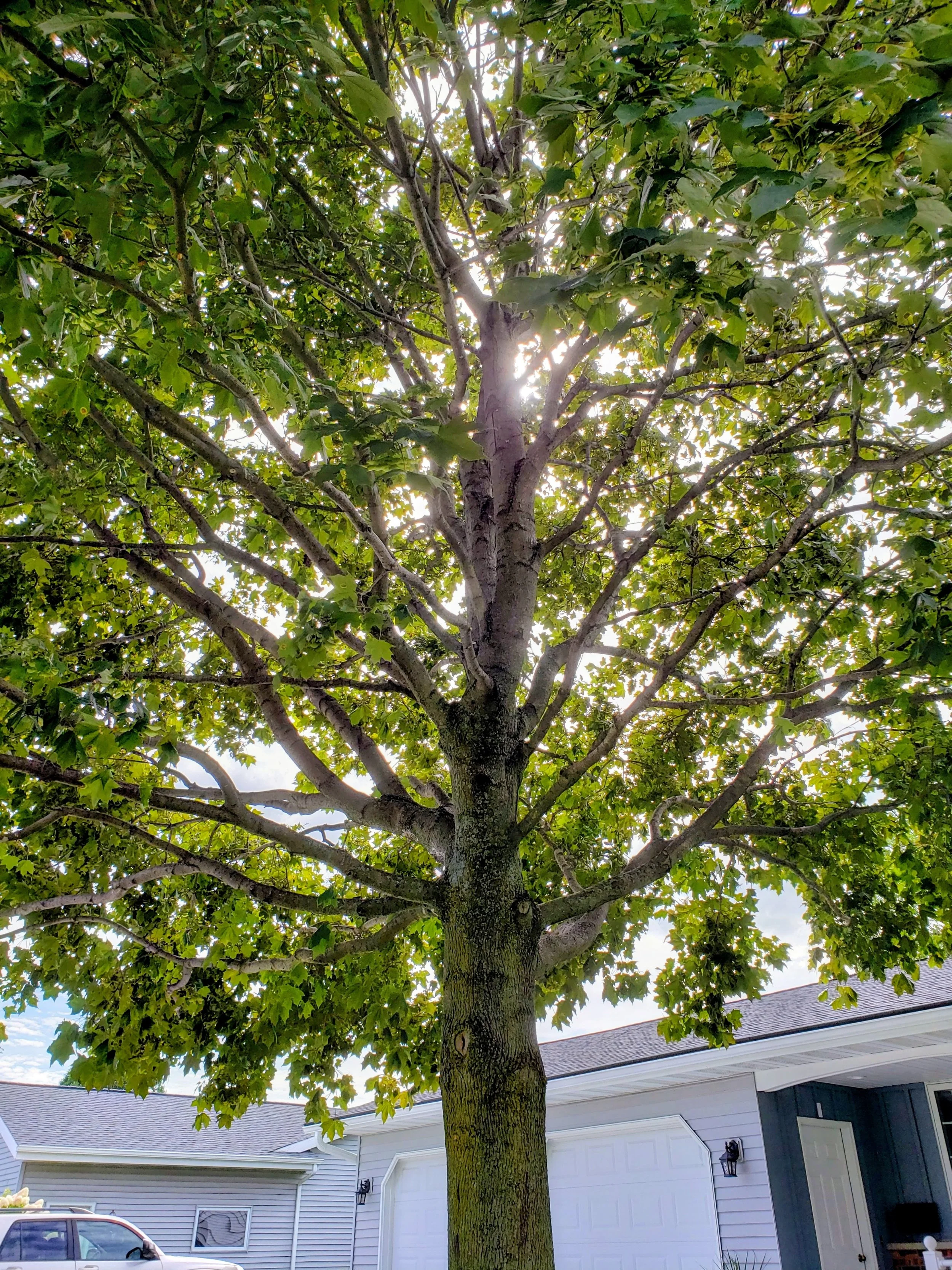 20190907_143937.jpg
