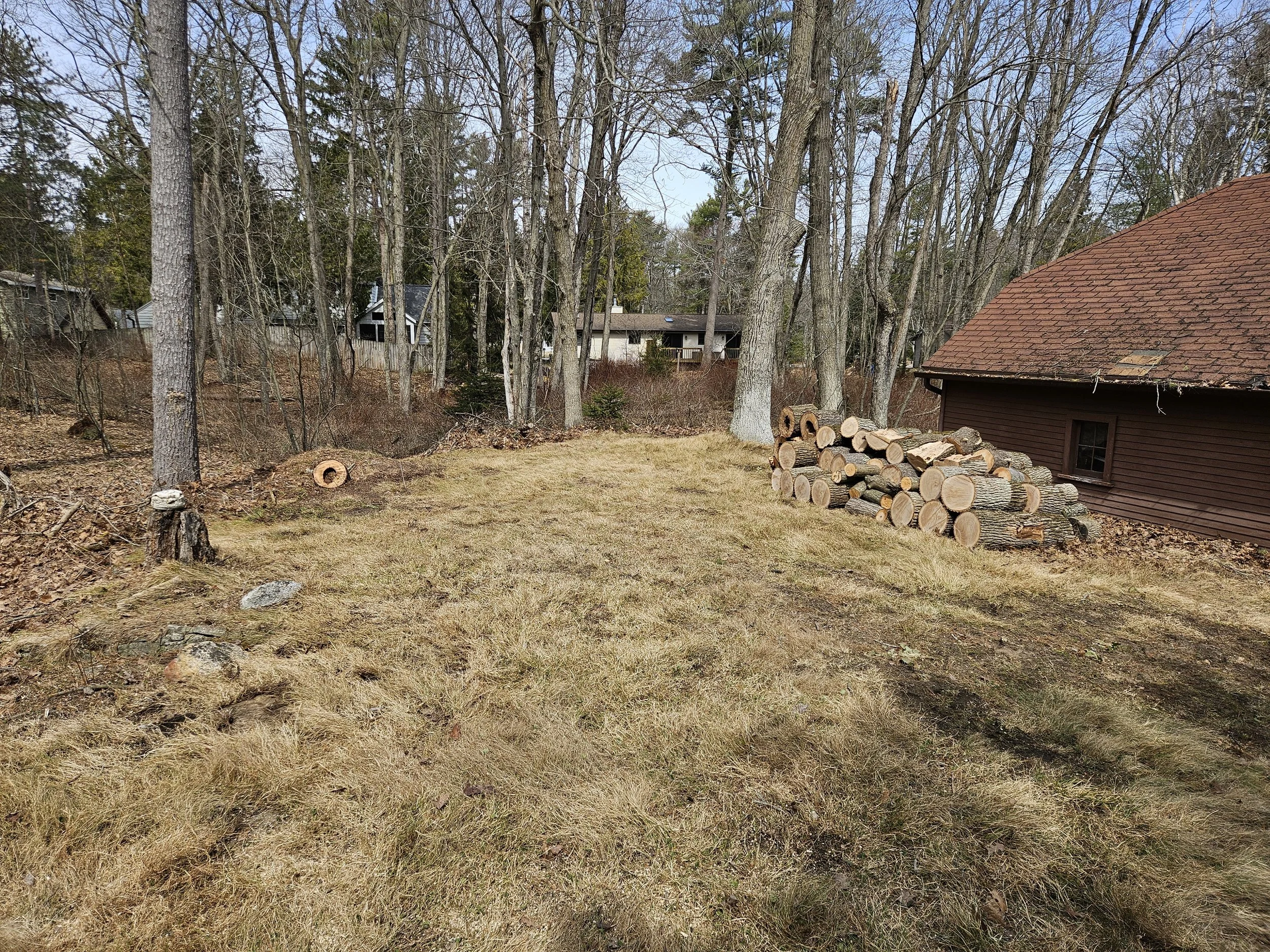 20260328_132324.jpg