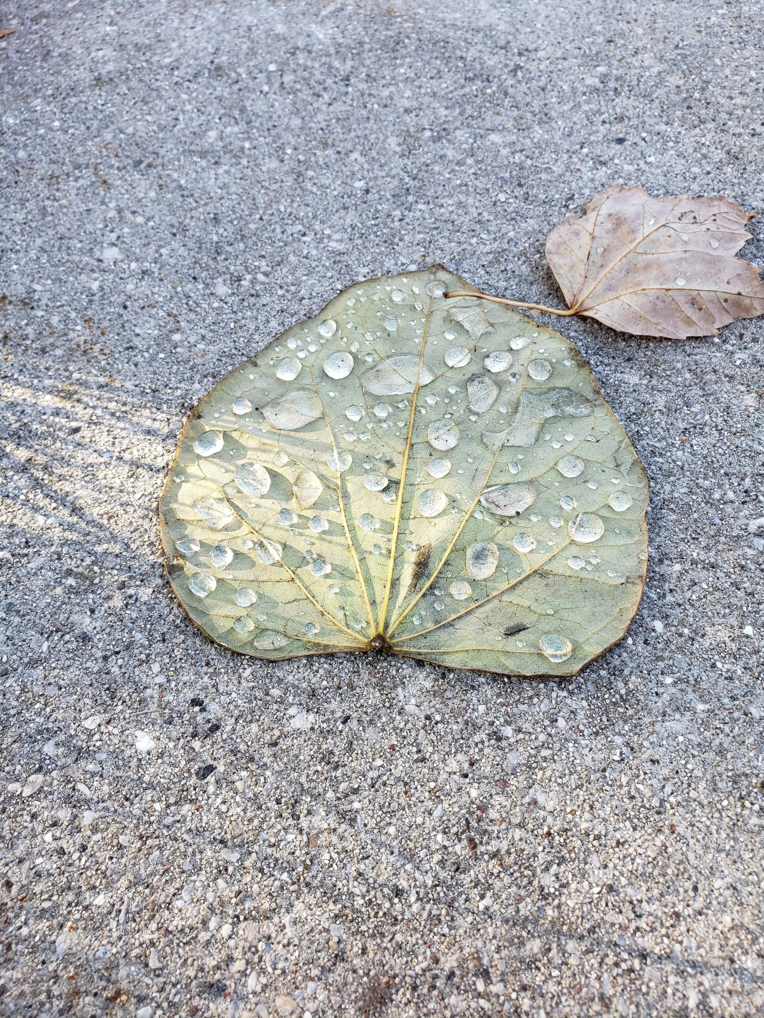 20191024_092027.jpg