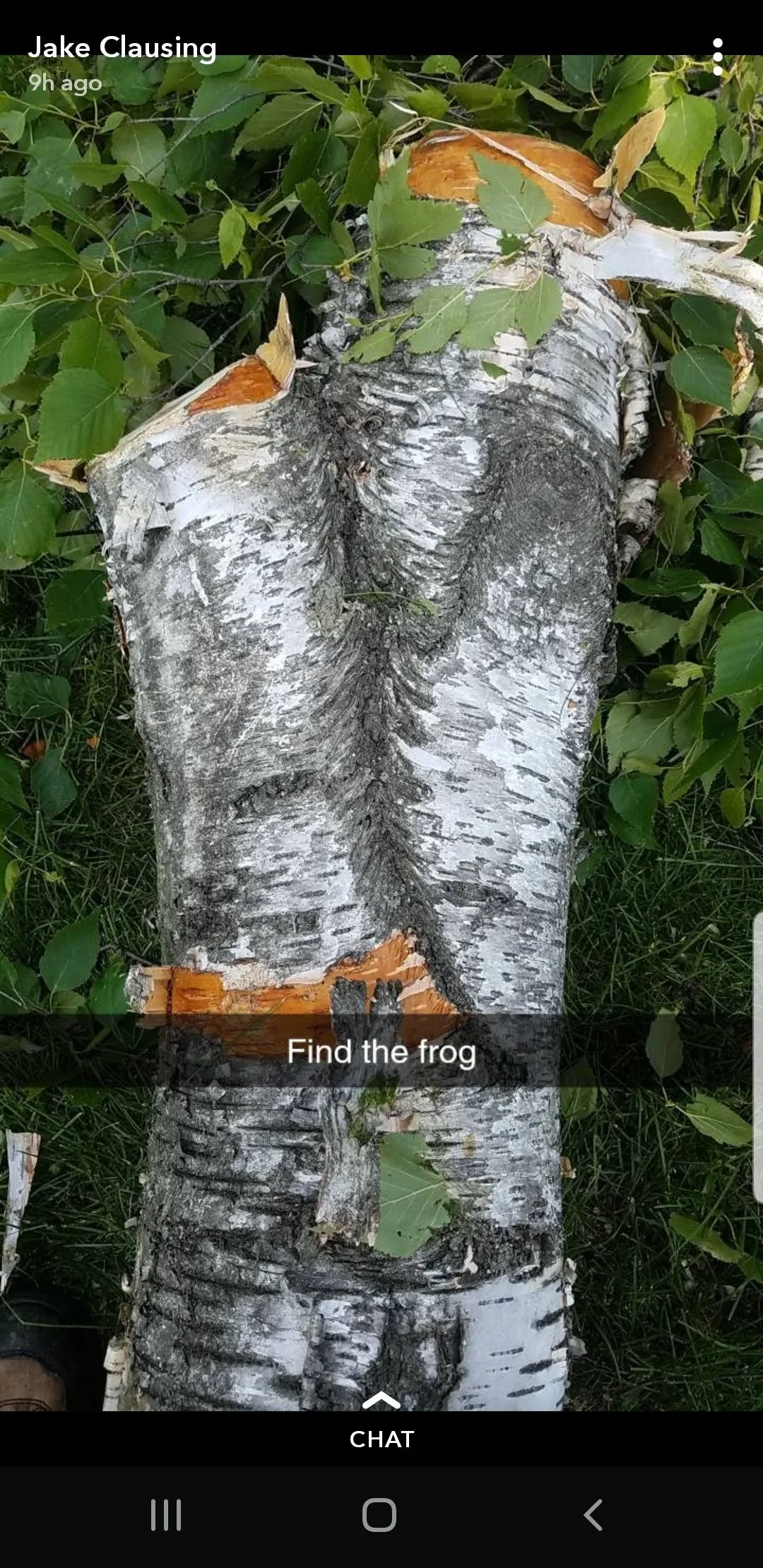 Screenshot_20190620-193013_Snapchat.jpg