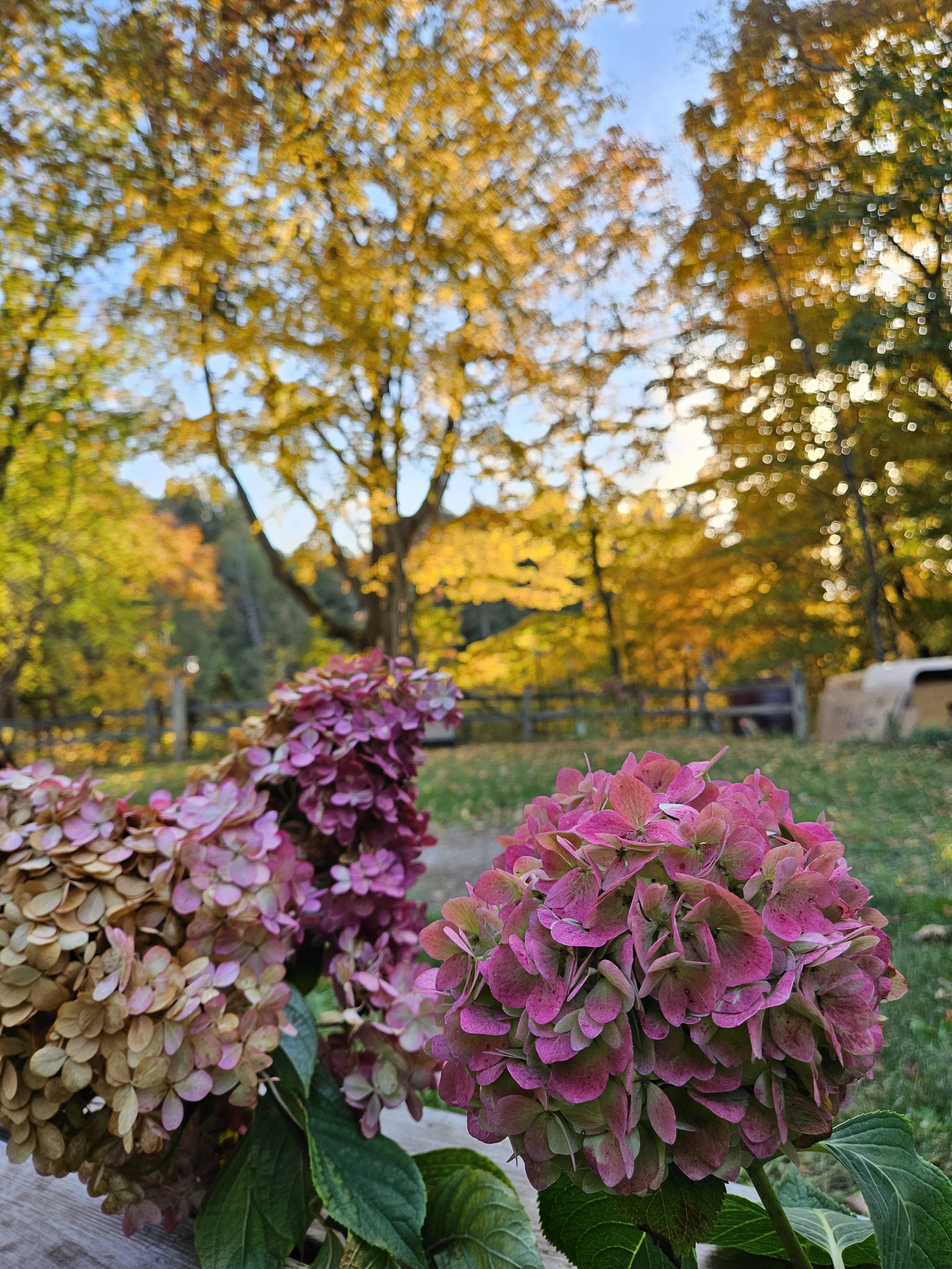 20241022_164331.jpg