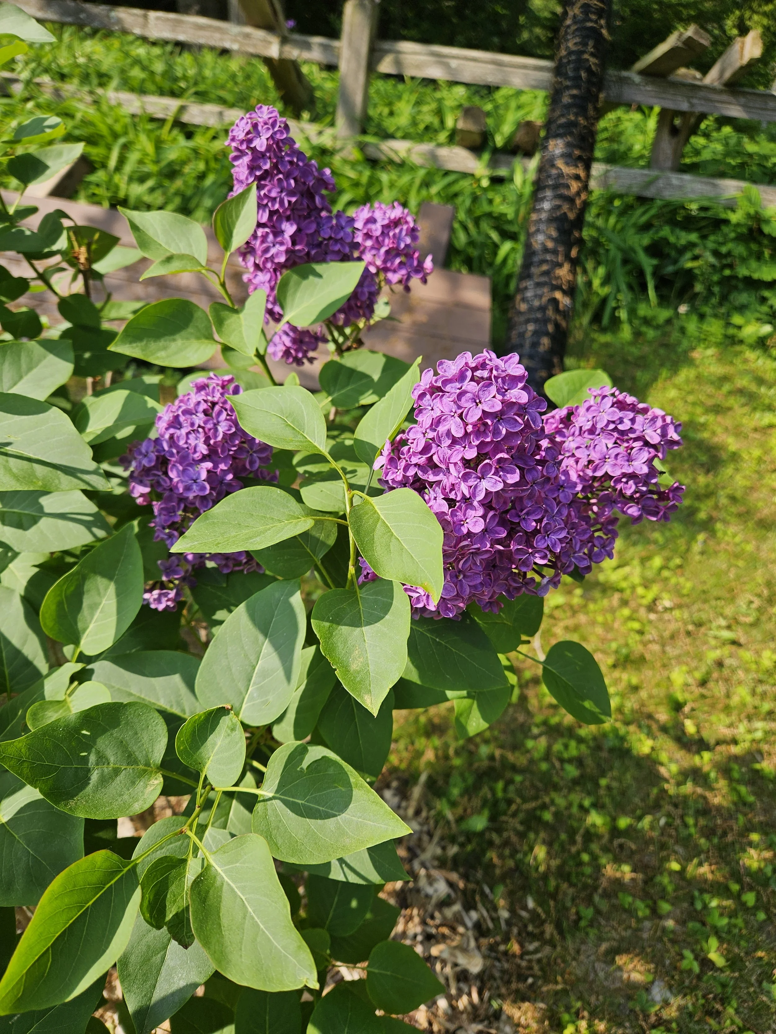 20250614_091710.jpg