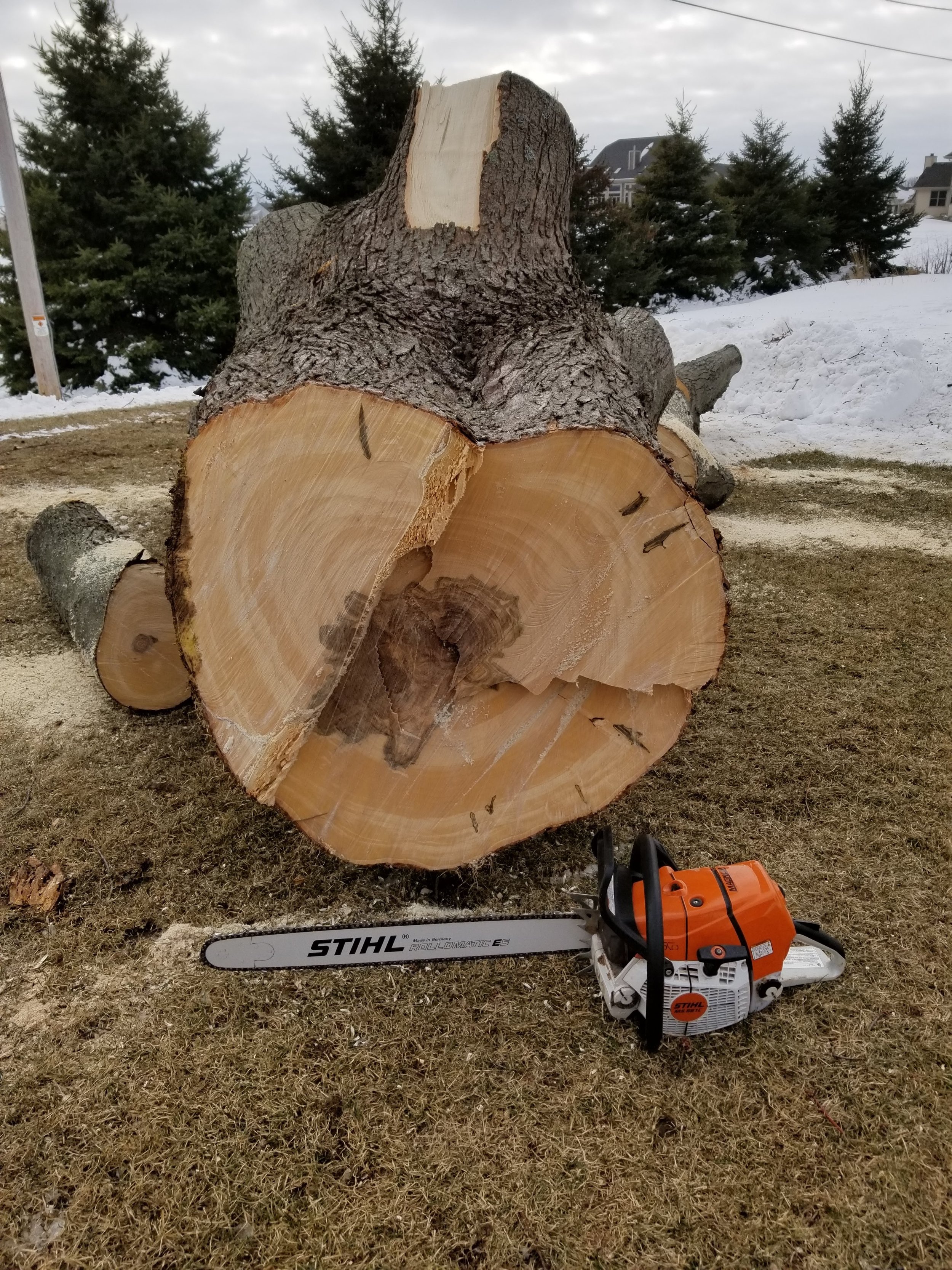 20190216_135709.jpg