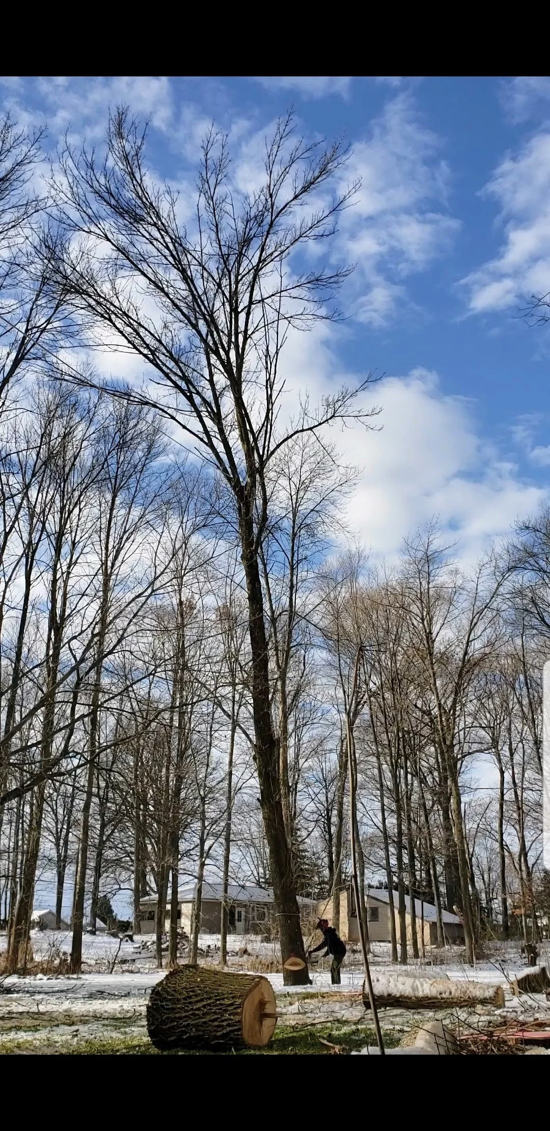 Screenshot_20191208-110533_Video Player.jpg