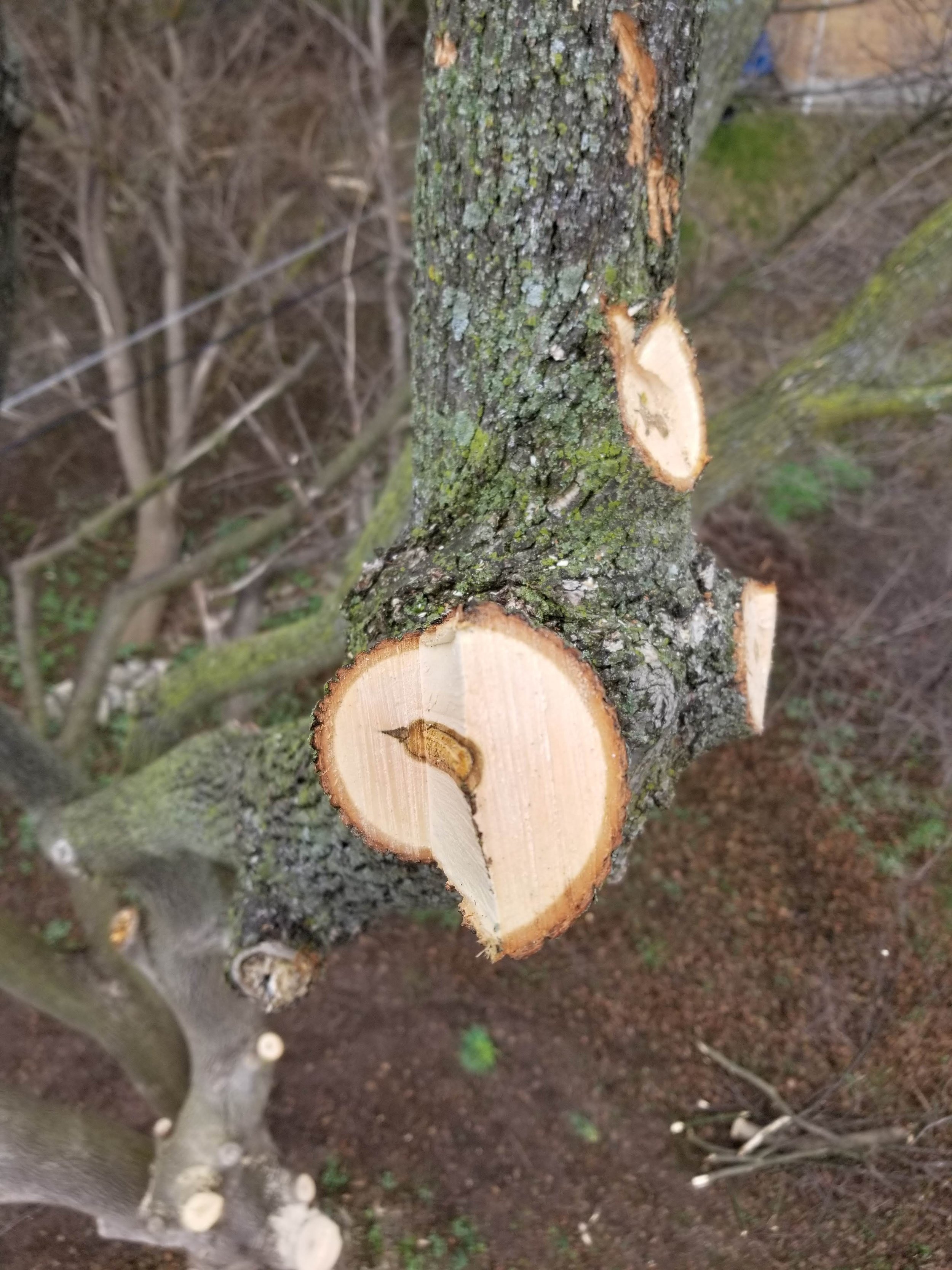 20190418_125155.jpg