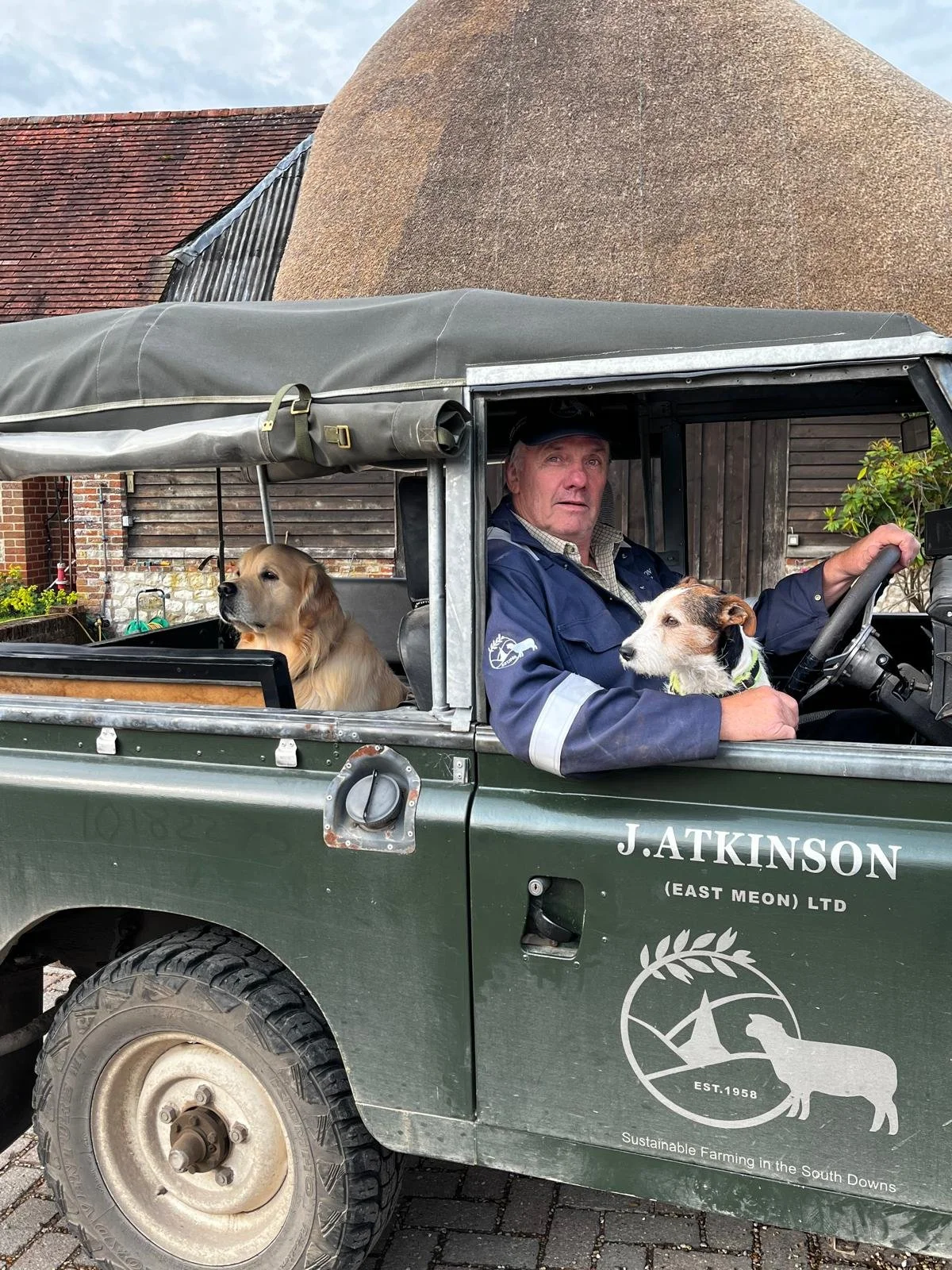 A man driving a green utility vehicle with two dogs, one sitting inside and the other on his lap, in front of a residential building with brick and wooden exterior and a thatched roof.