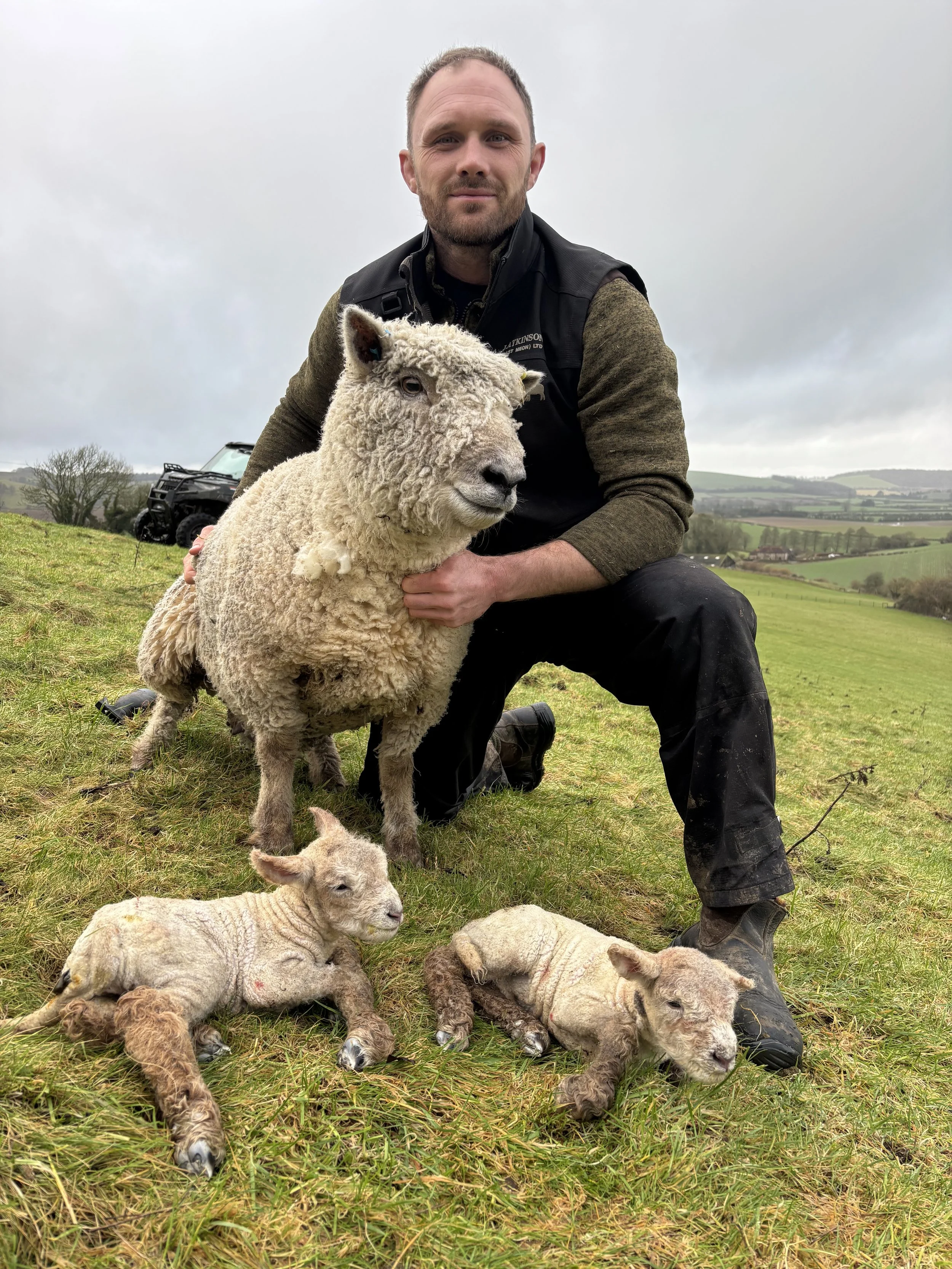 A man kneeling on the grass holding a sheared sheep, with four young lambs resting on the ground, in an open countryside landscape with cloudy skies.