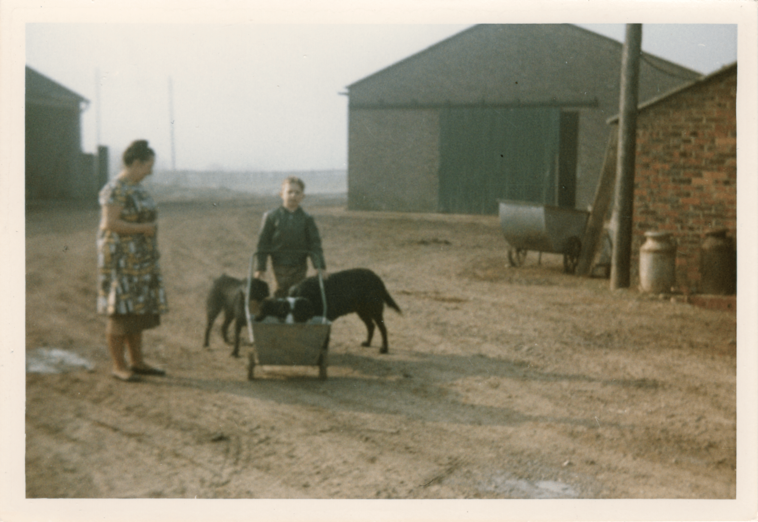 A woman in a floral dress standing near two small goats and a young boy with a backpack in front of a barn or garage on a dirt lot, with other buildings and a pole in the background.