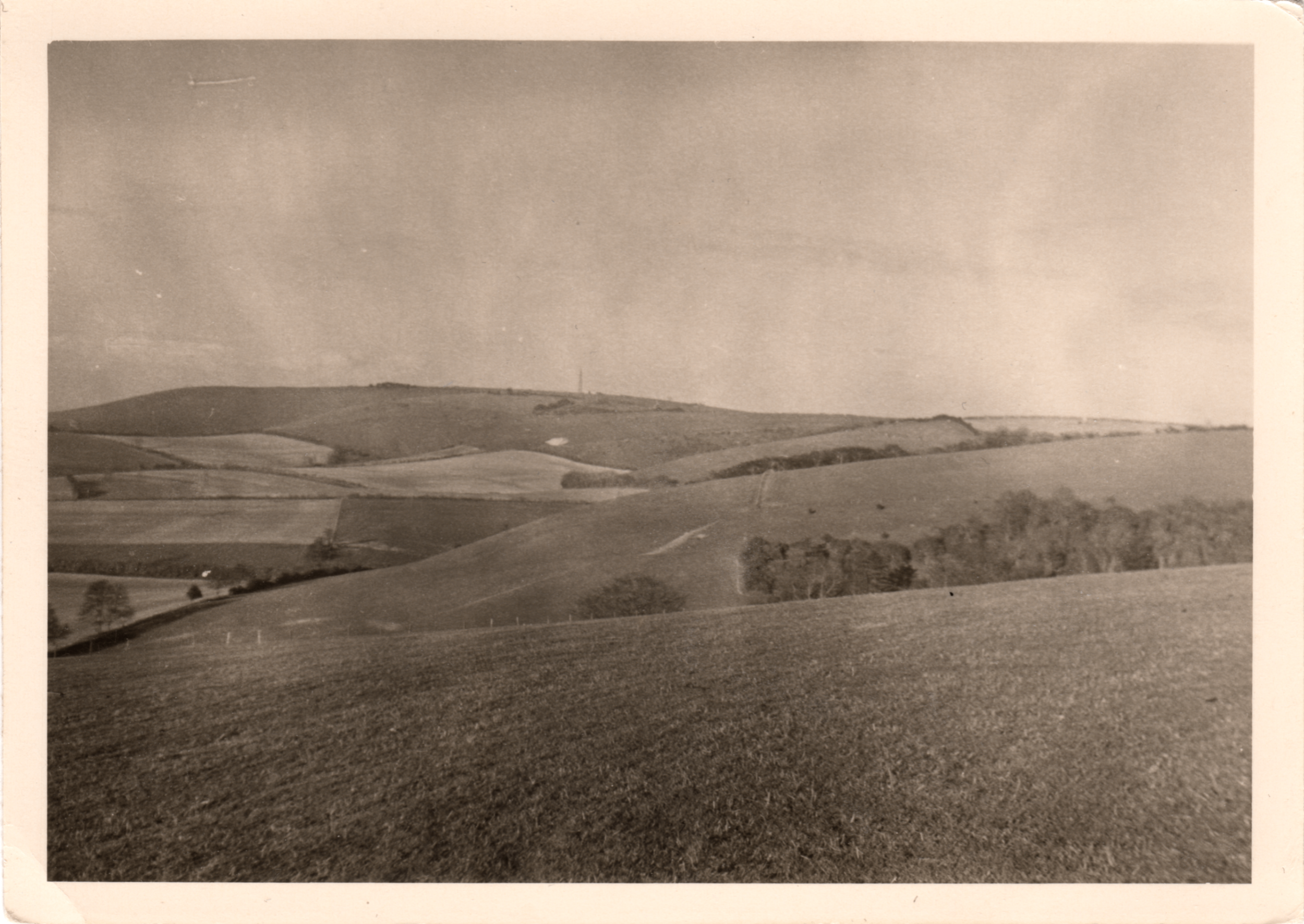 A black and white photograph of rolling hills and farmland, with a few trees scattered across the landscape and a sky overhead.