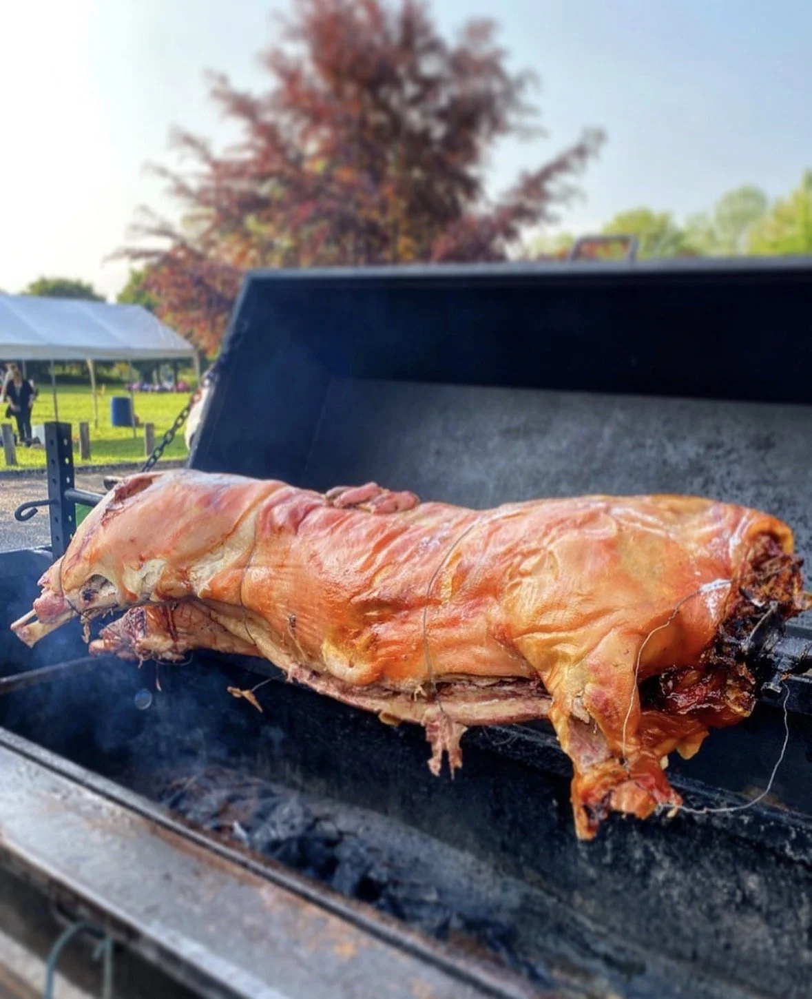 A whole pig being roasted on a grill outdoors, with trees and tents visible in the background.