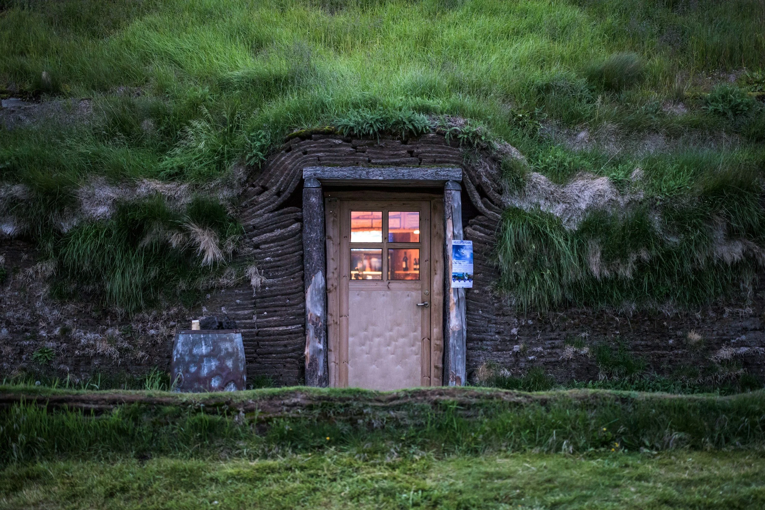 A green grassy hillside with a wooden door set into the earth, framed by tree branches and moss-covered rocks.