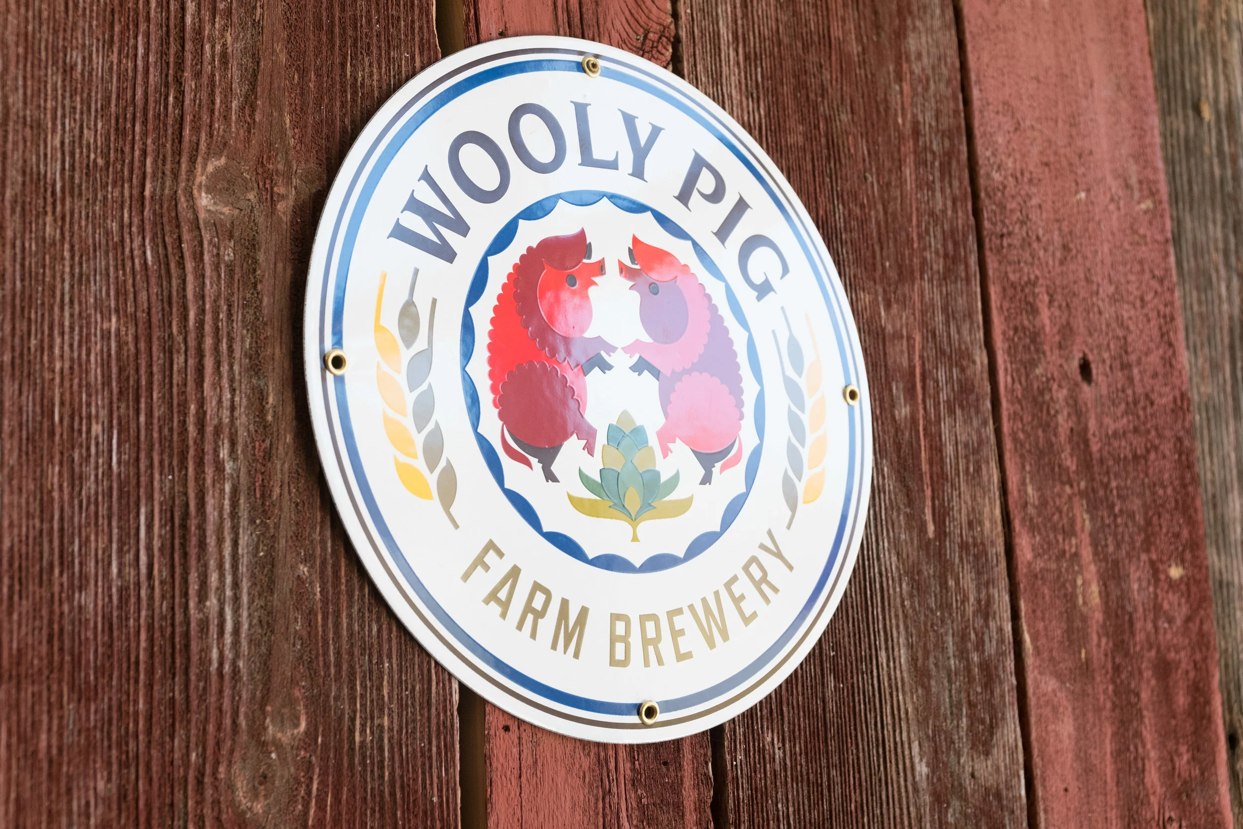 Sign for Woolly Pig Farm Brewery mounted on wooden wall, featuring a stylized illustration of two pigs and a plant.