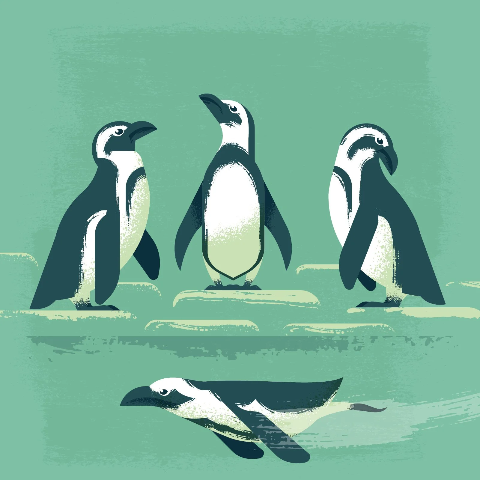 Illustration of four penguins, three standing on ice and one swimming in water against a green background.