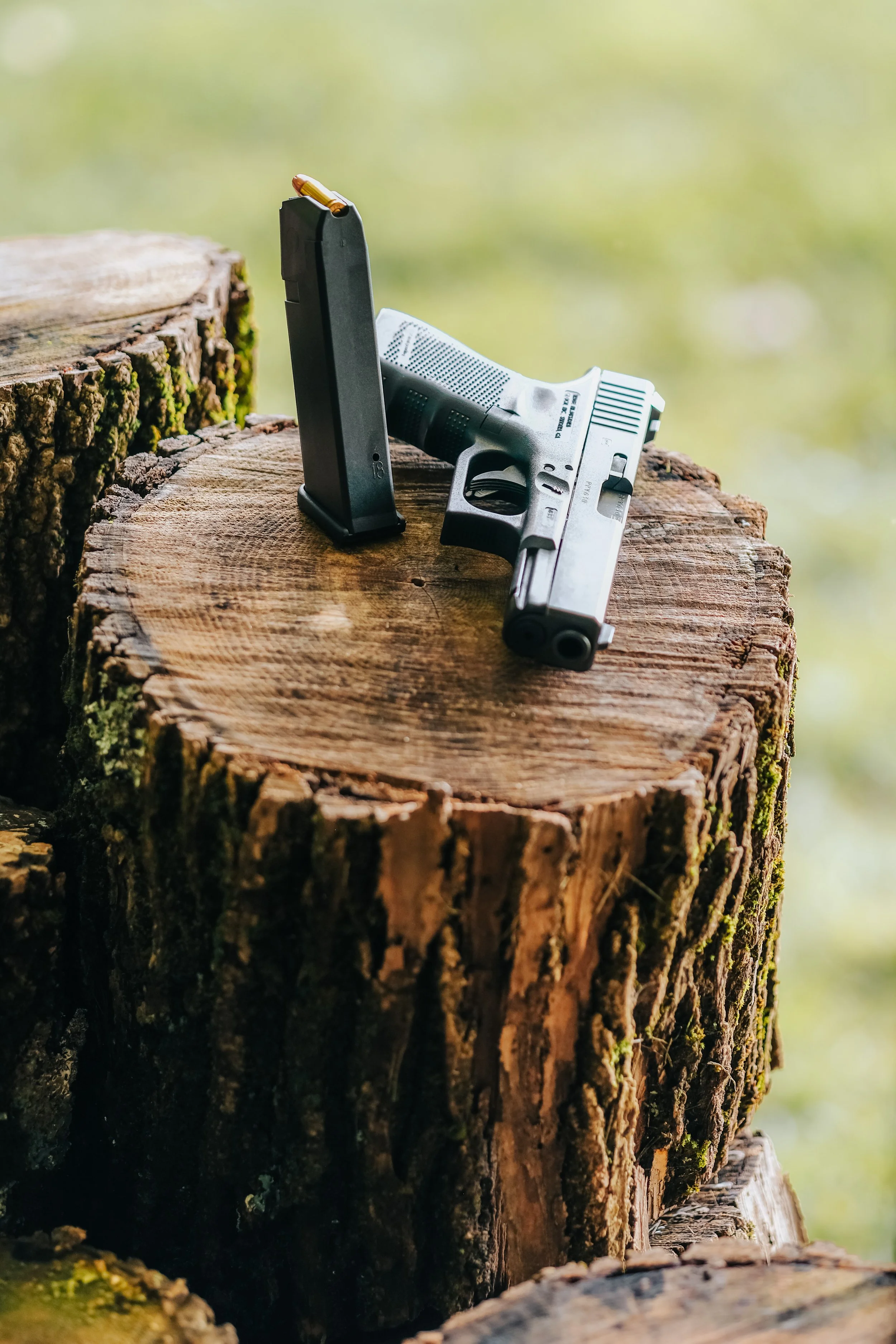A handgun resting on a tree stump with a magazine inserted.