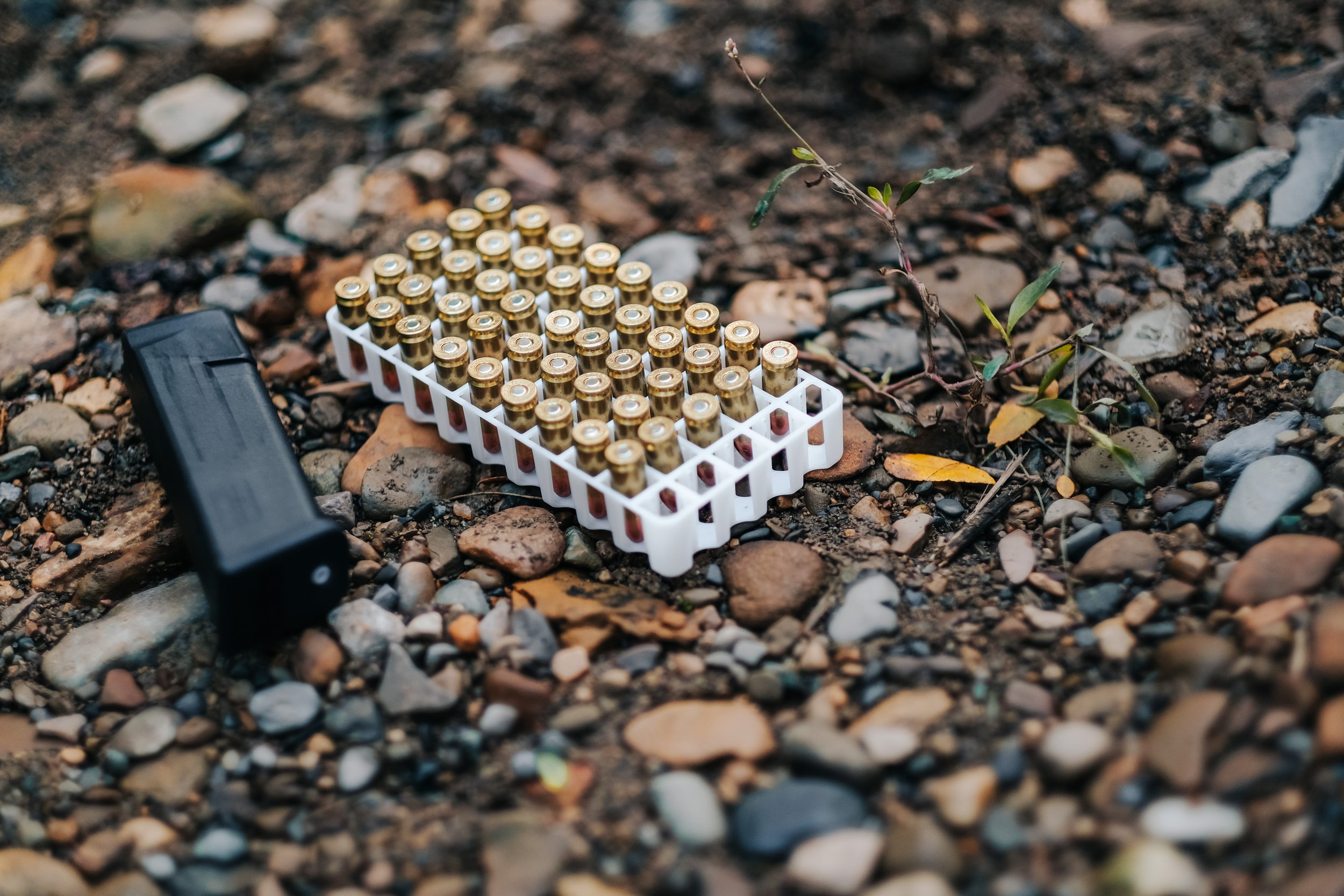 A box of rifle cartridges or bullets placed on the ground among rocks and small plants.