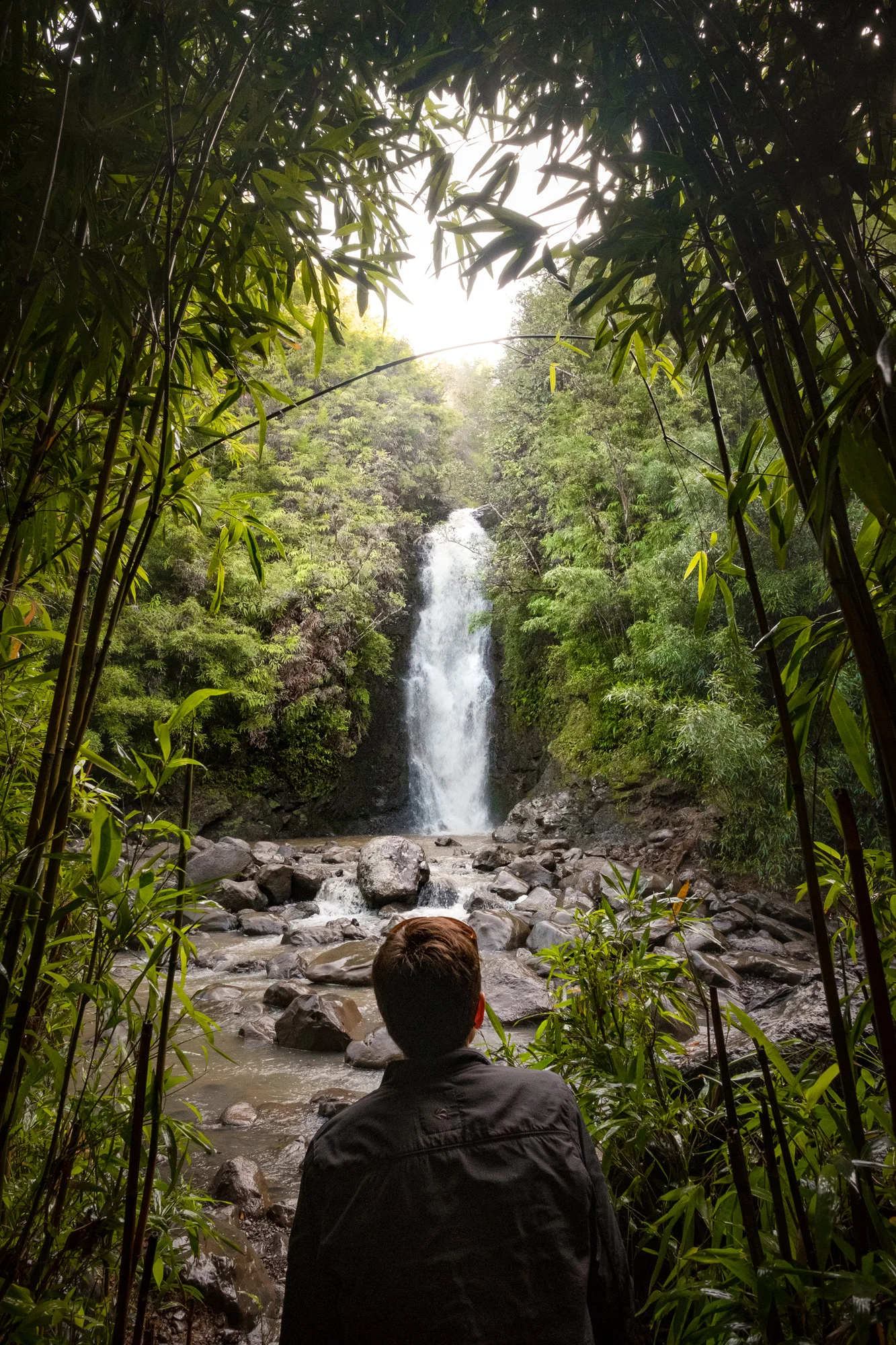 A person sitting on rocks with their back to the camera, facing a waterfall cascading through lush green jungle foliage  in Maui.