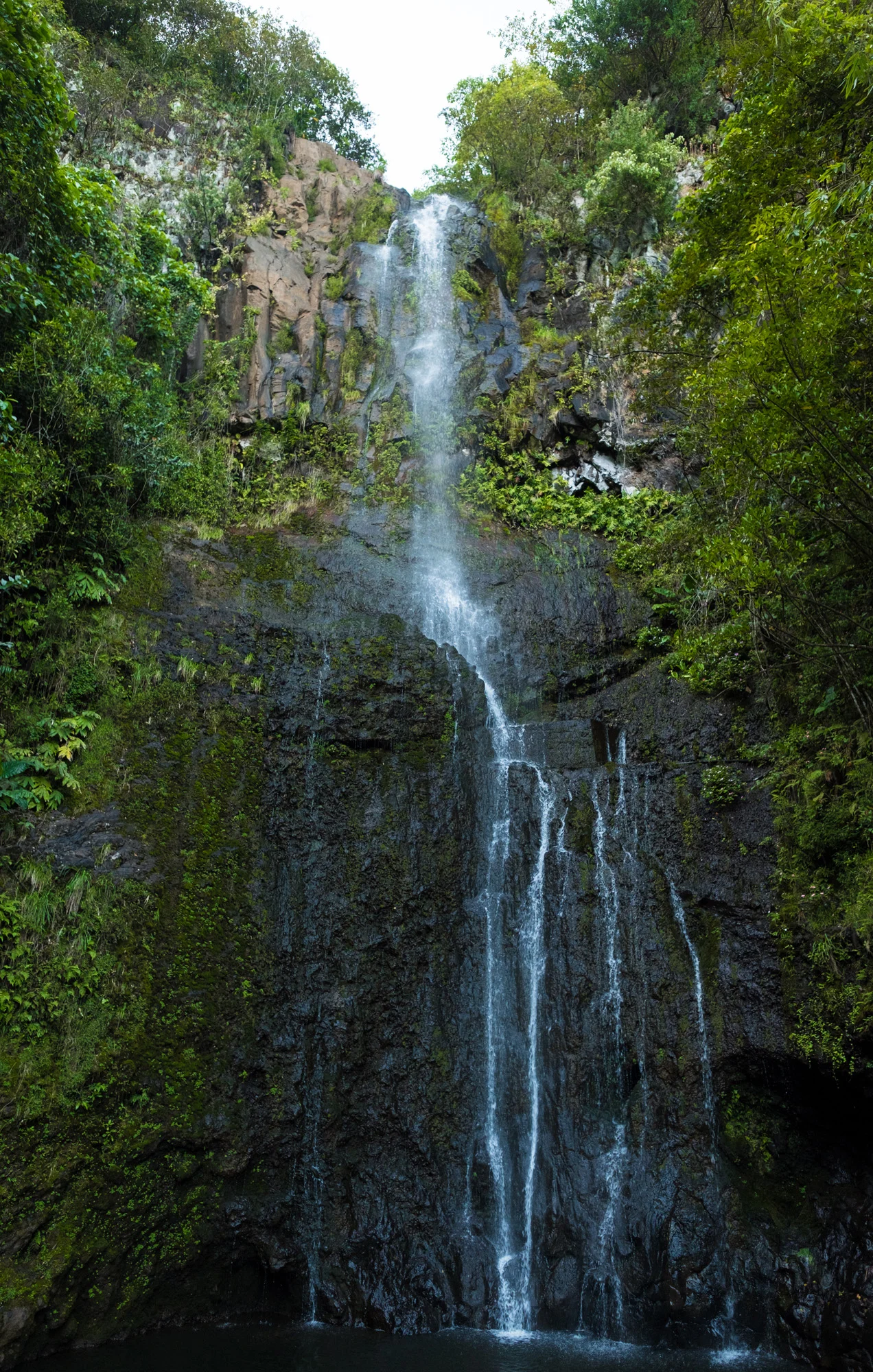 A tall waterfall flowing down a rocky cliff surrounded by lush green trees and vegetation in Maui.