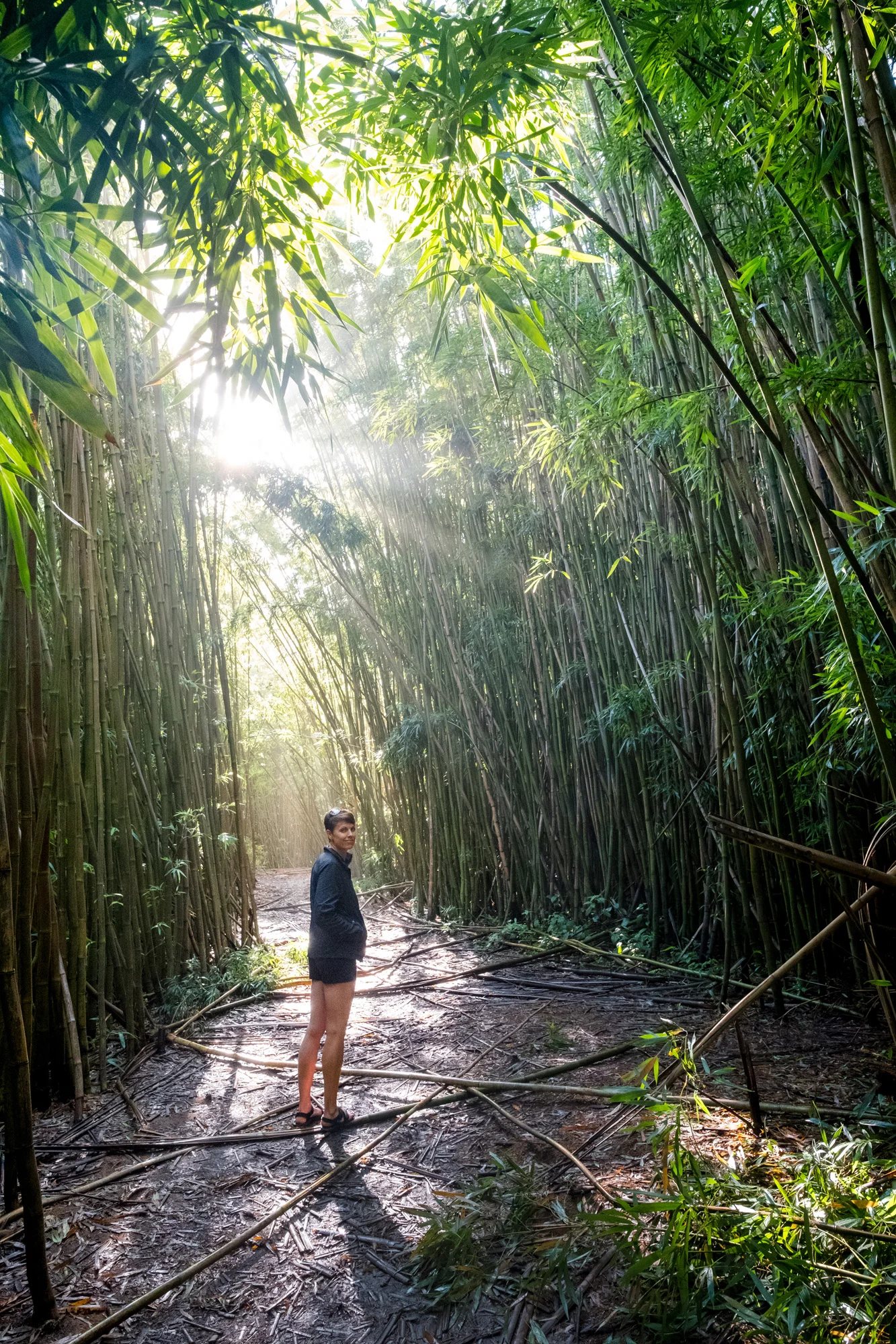 A person standing on a muddy path in a dense bamboo forest with sunlight streaming through the leaves  in Maui.