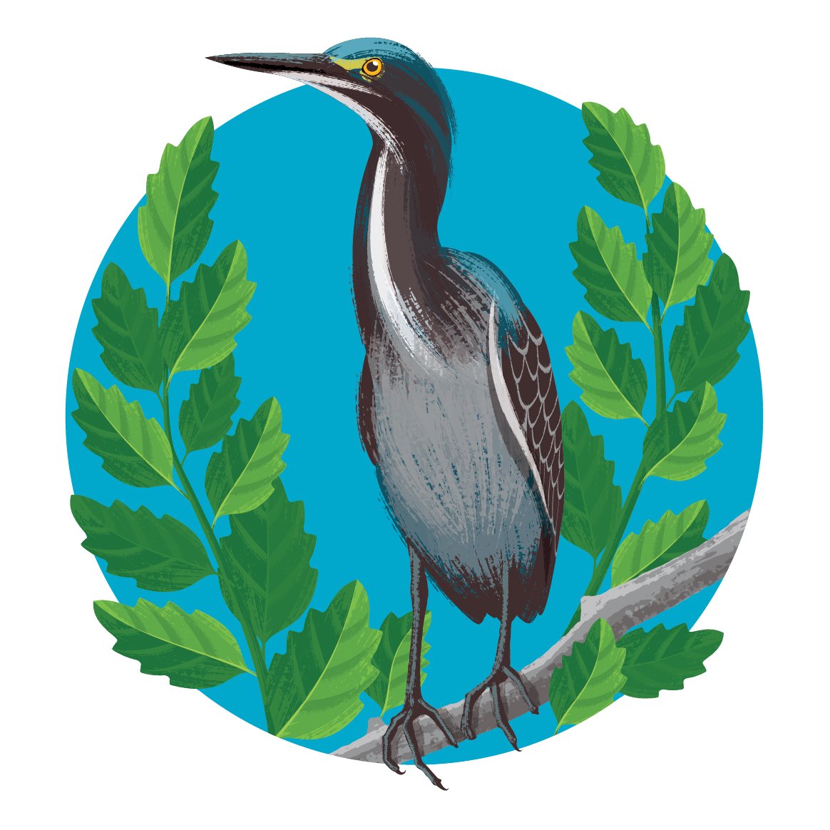 Illustration of a great blue heron perched on a branch surrounded by green leaves, with a blue circular background.