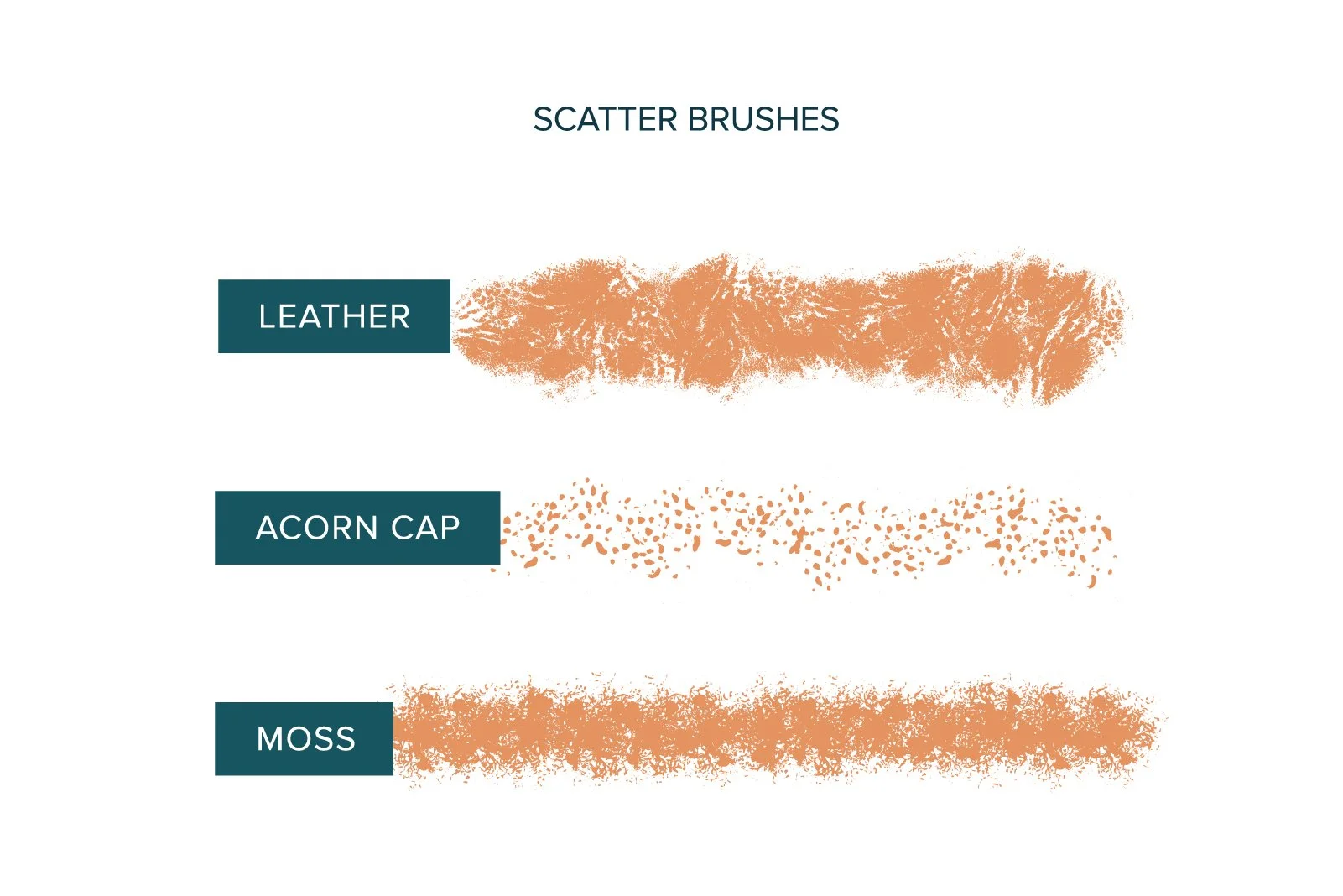 Comparison chart of scatter brushes with three types: leather, acorn cap, and moss, each represented by textured brush strokes.