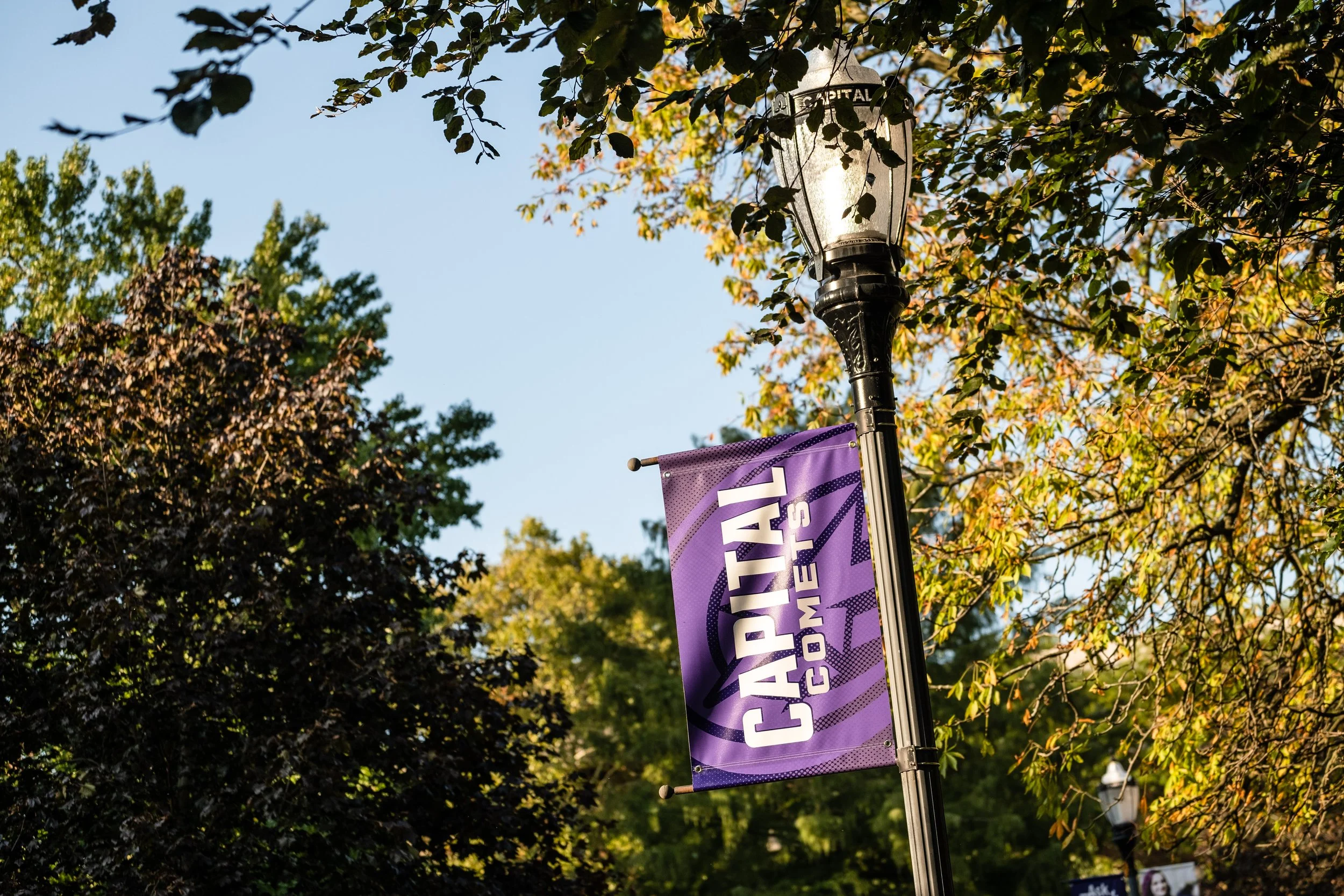 A streetlamp with a purple Canfield's Comes banner attached to it, surrounded by trees with green and brown leaves, against a clear blue sky.