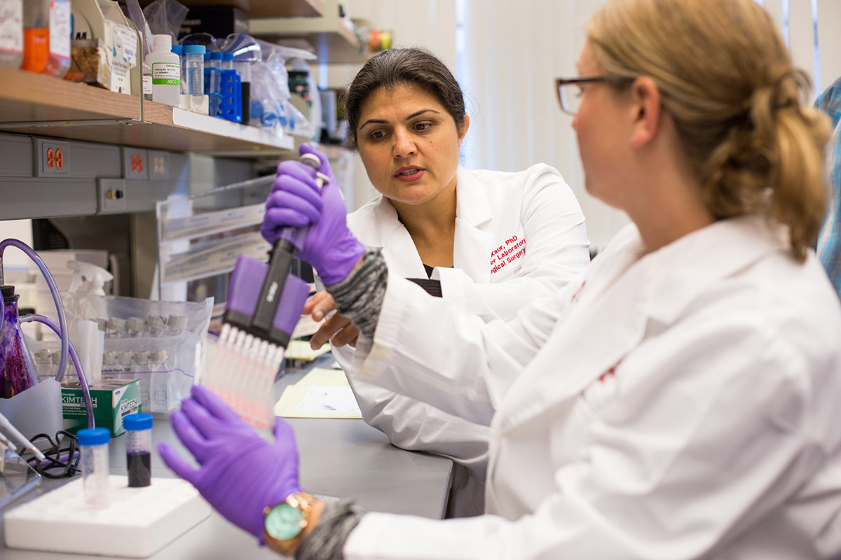 Two female scientists work together in a laboratory, one is holding a test tube rack with multiple test tubes, and both are wearing lab coats and purple gloves.
