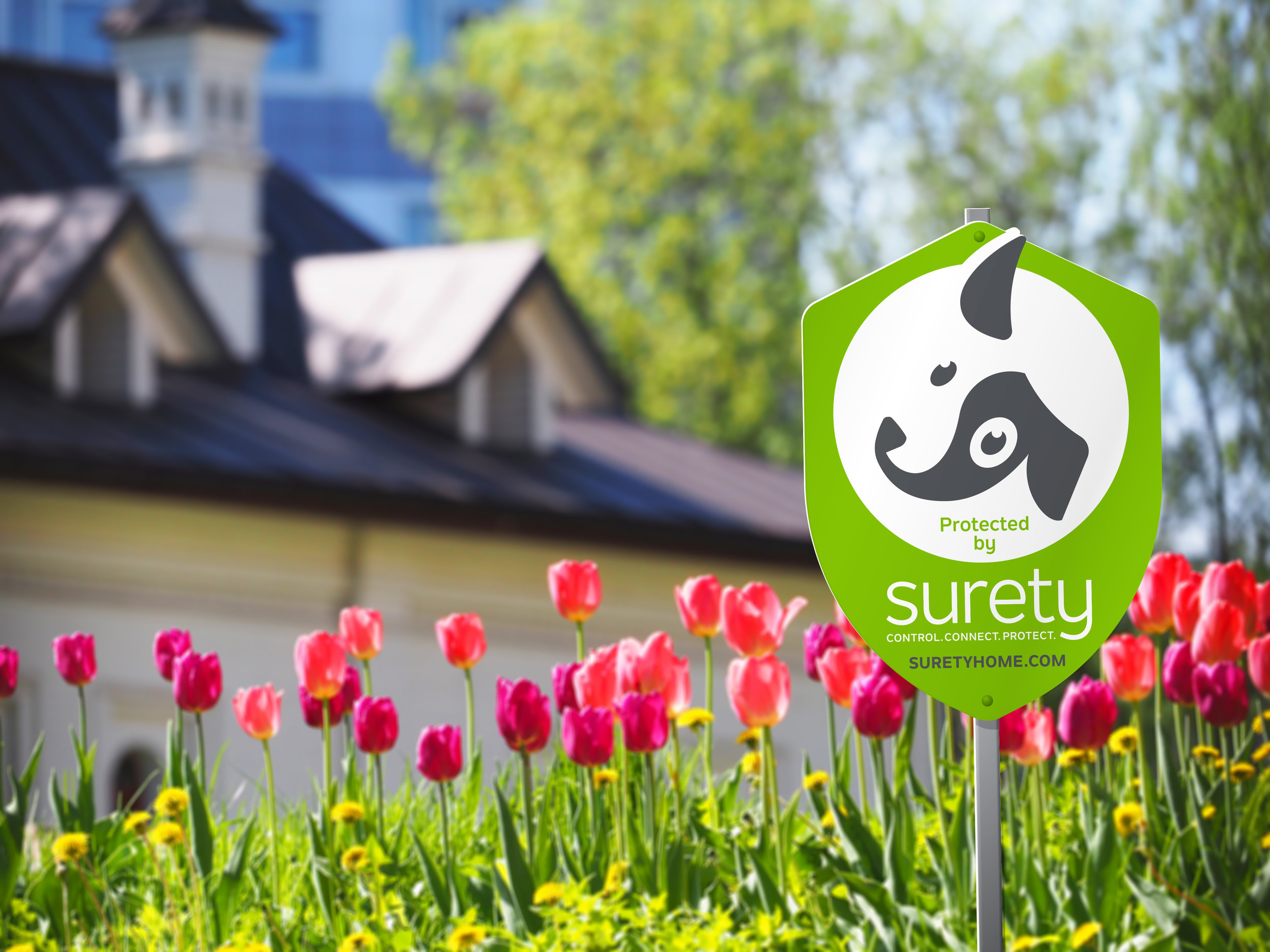 A yard with pink and yellow tulips in the foreground, a house with a dark roof and dormer windows in the background, and a green pest control sign with a dog illustration that says 'Protected by Surety' and the website suretyhome.com.