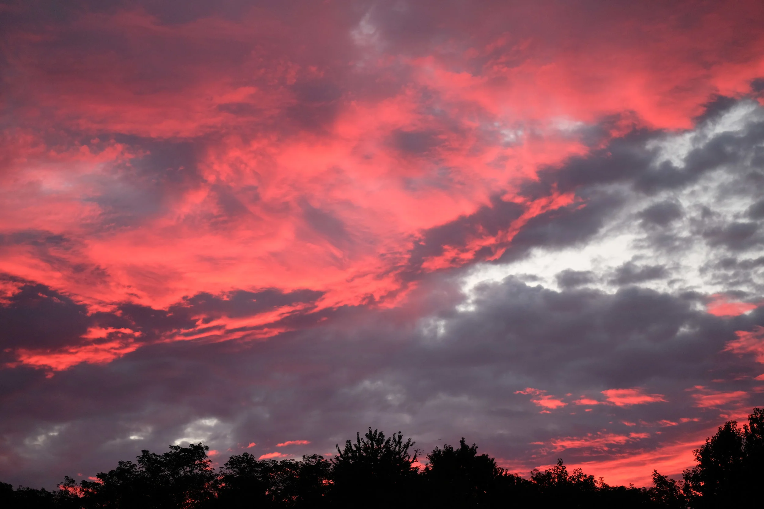 DSCF8953.jpg