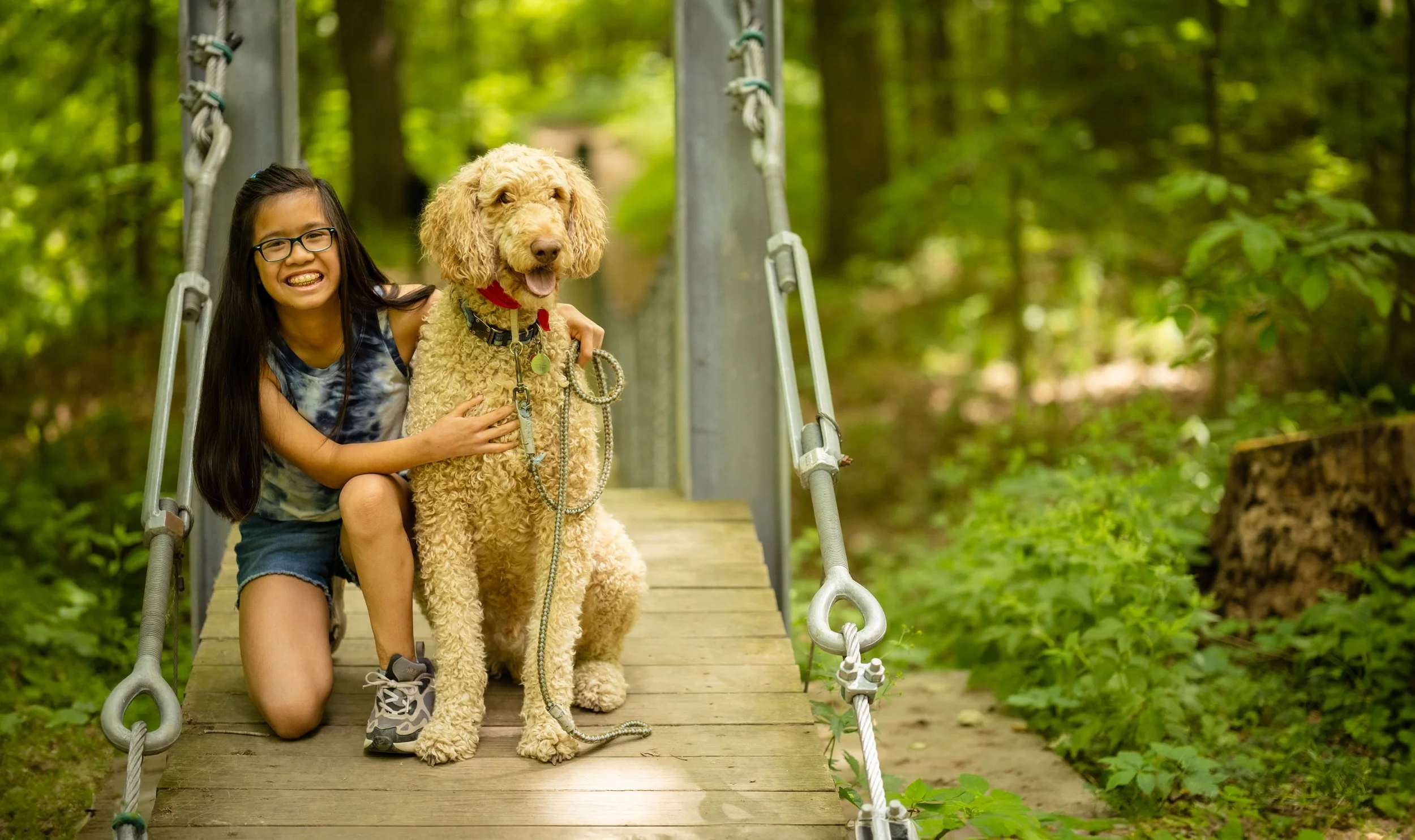 A girl with long dark hair and glasses kneeling on a wooden bridge, hugging a large curly-haired dog with a red collar in a lush green forest.