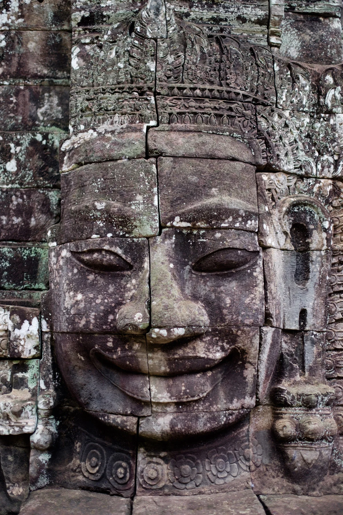 DSCF8136.jpg