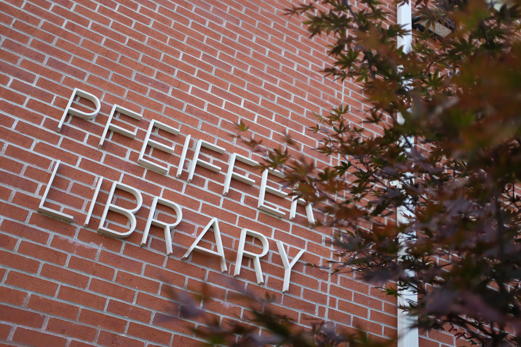 Close-up of a red brick wall with white three-dimensional letters spelling 'PEELER LIBRARY,' partially obscured by the branches and leaves of a tree.