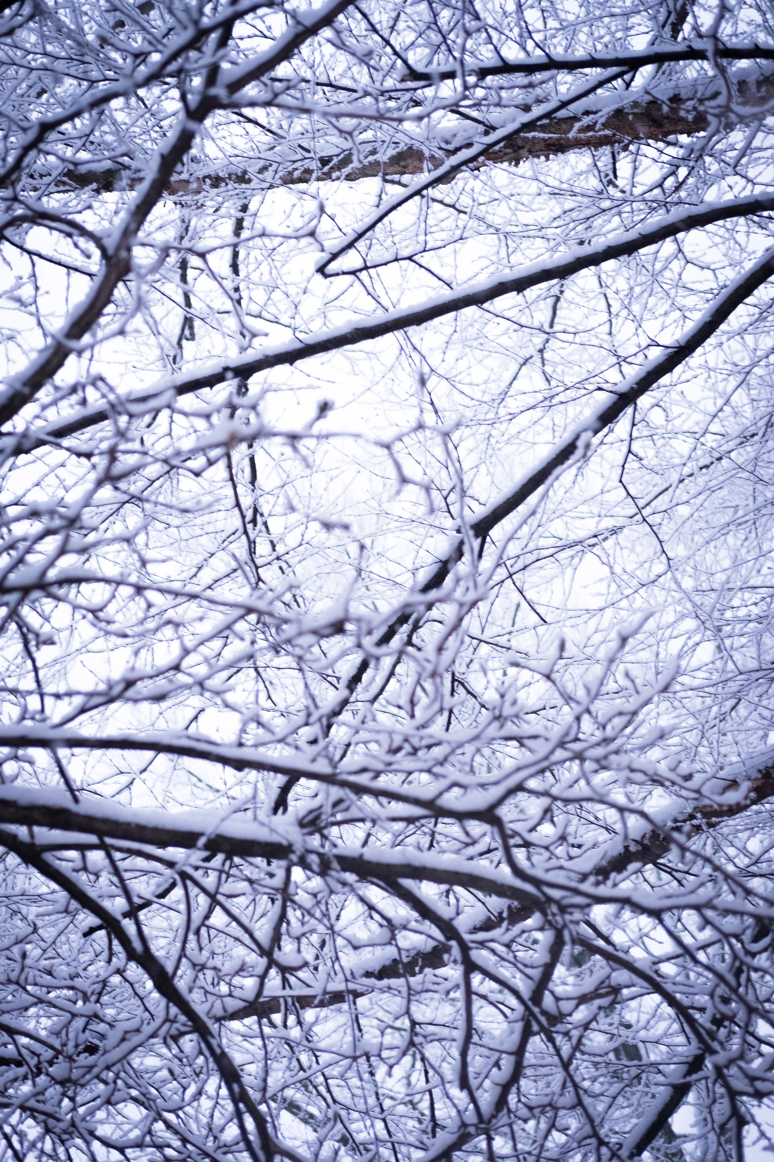 DSCF3247.jpg