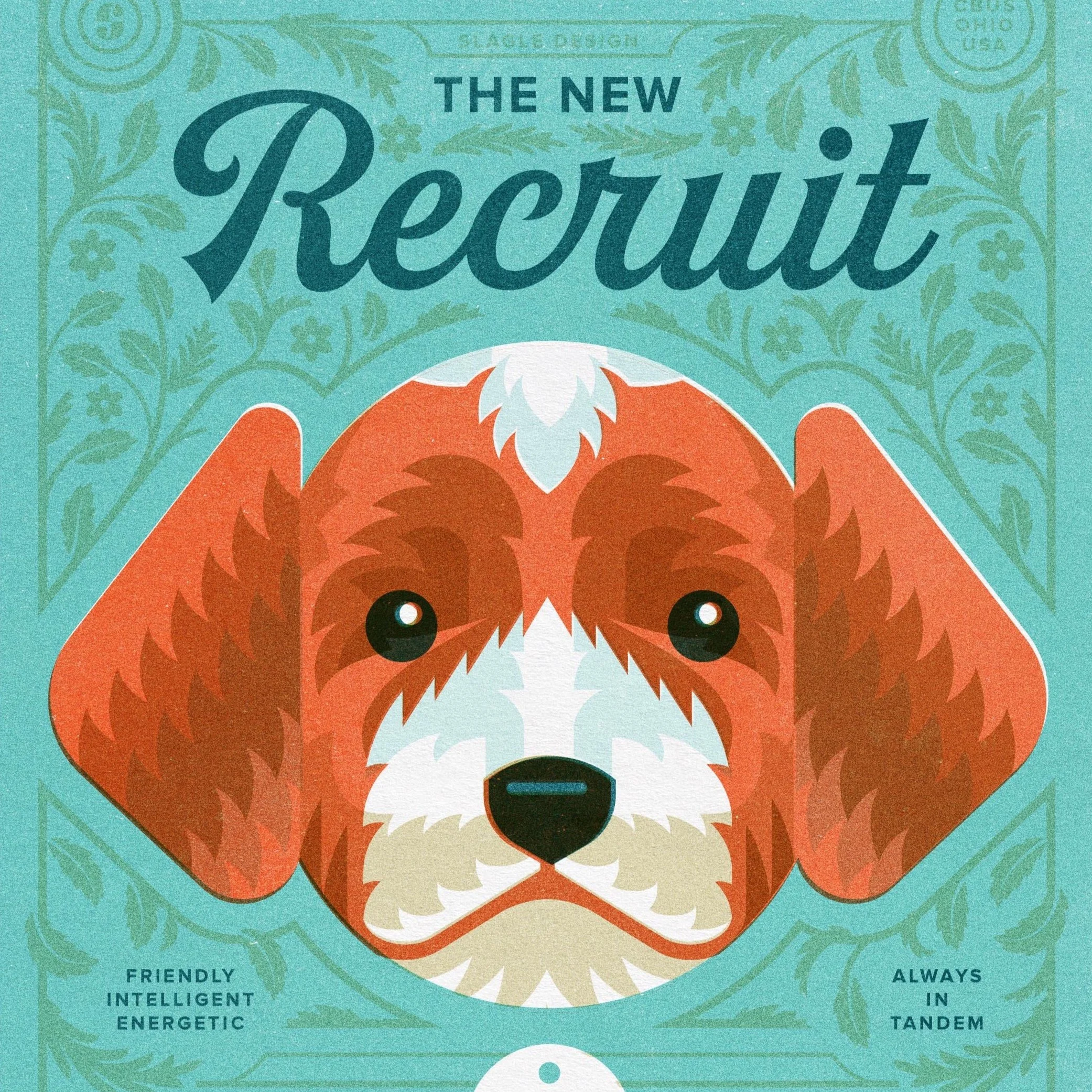 New Recruit on the way!