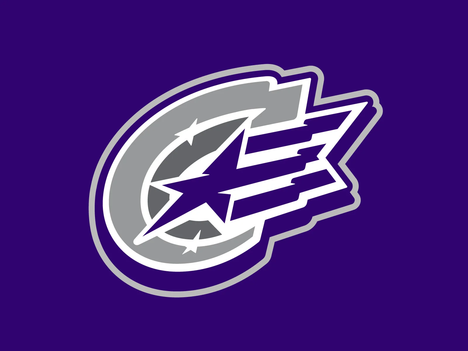 Dallas Stars logo featuring a blue star with a white outline and a black hockey puck with a white outline, set against a purple background.
