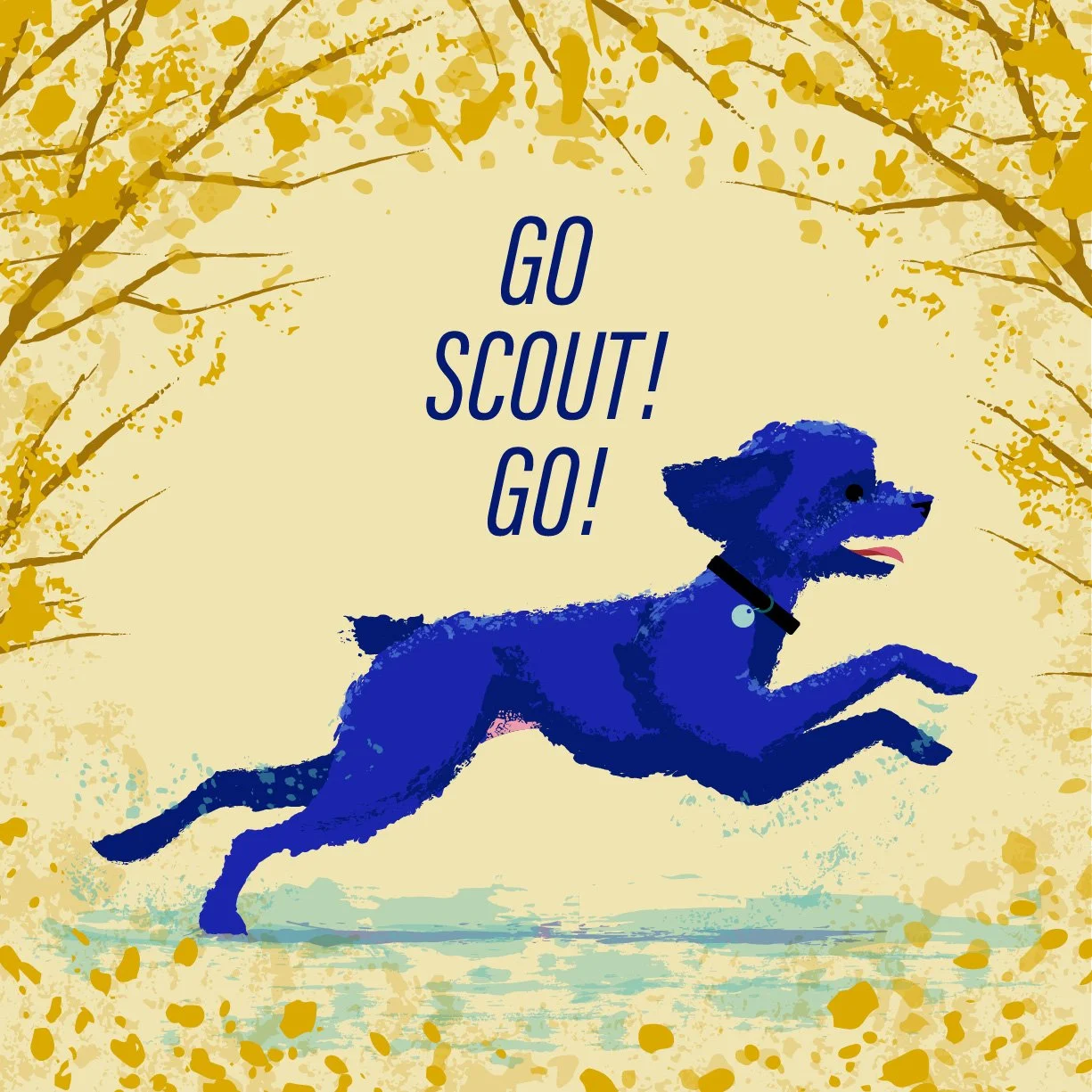 Remembering Scout