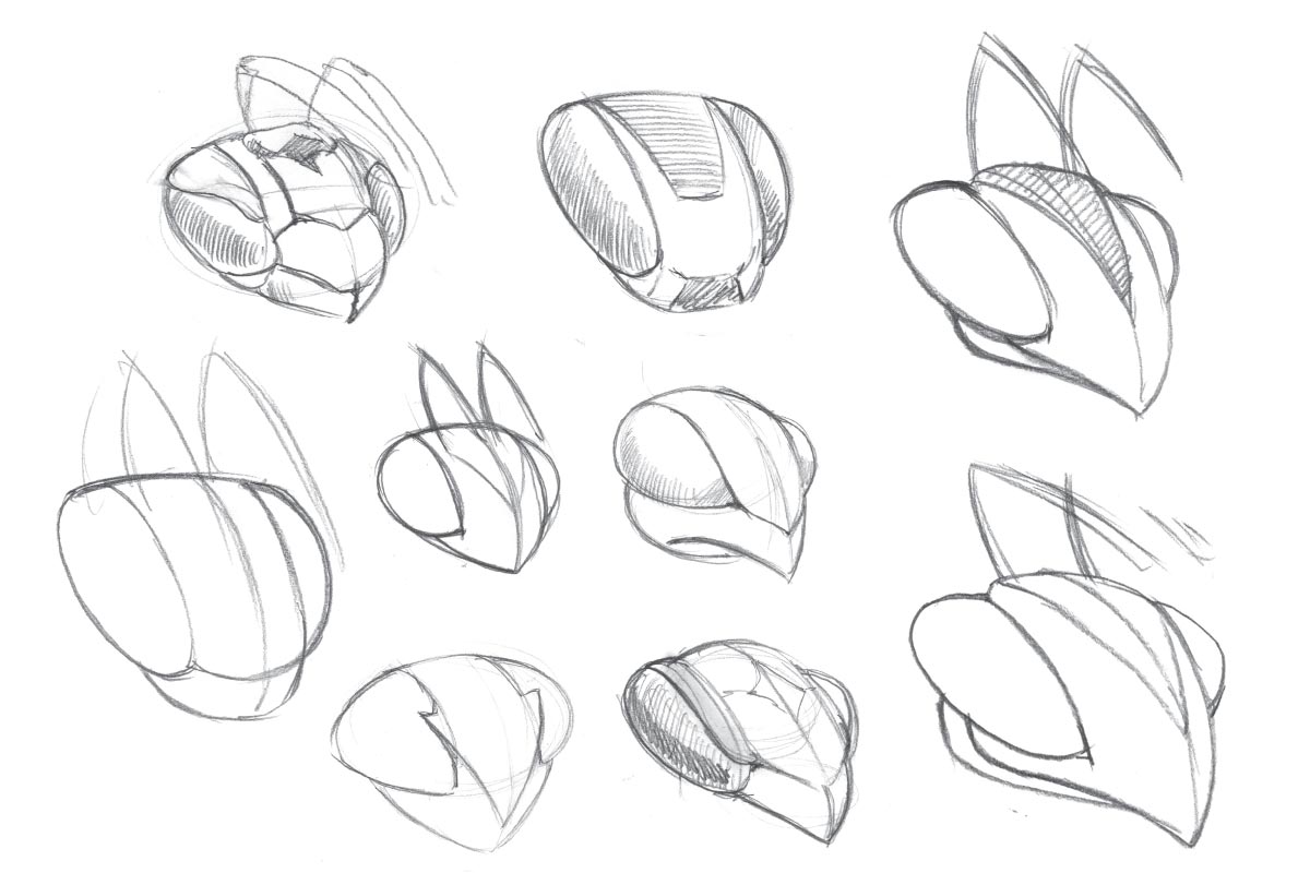 Multiple different sketches of insect heads, possibly bees or wasps, with detailed features and antennae.