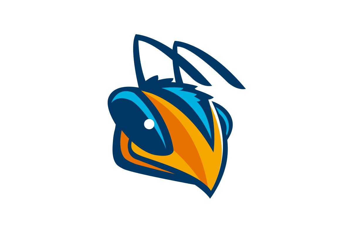 A stylized fish logo featuring a combination of blue, orange, and yellow colors with a sleek design.