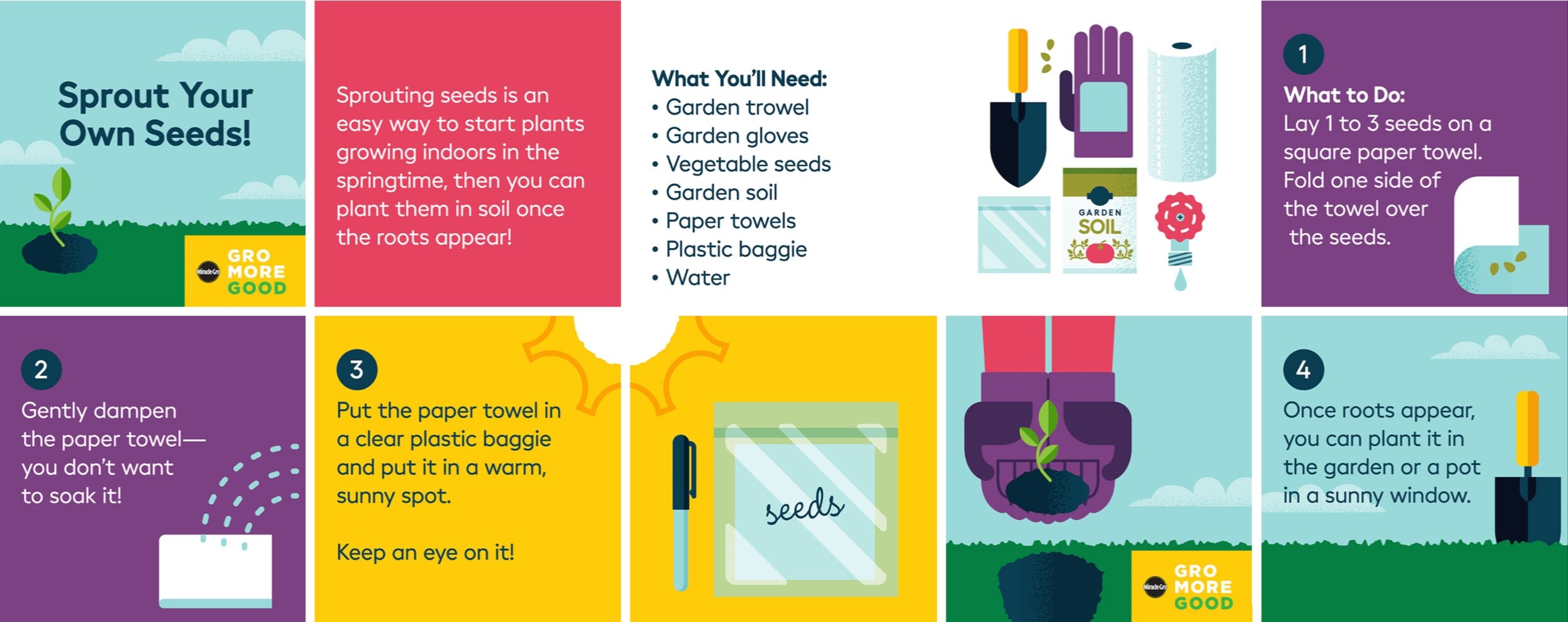 Infographic with steps for sprouting seeds indoors, including images of gardening tools, seeds, soil, and a plant in a pot.