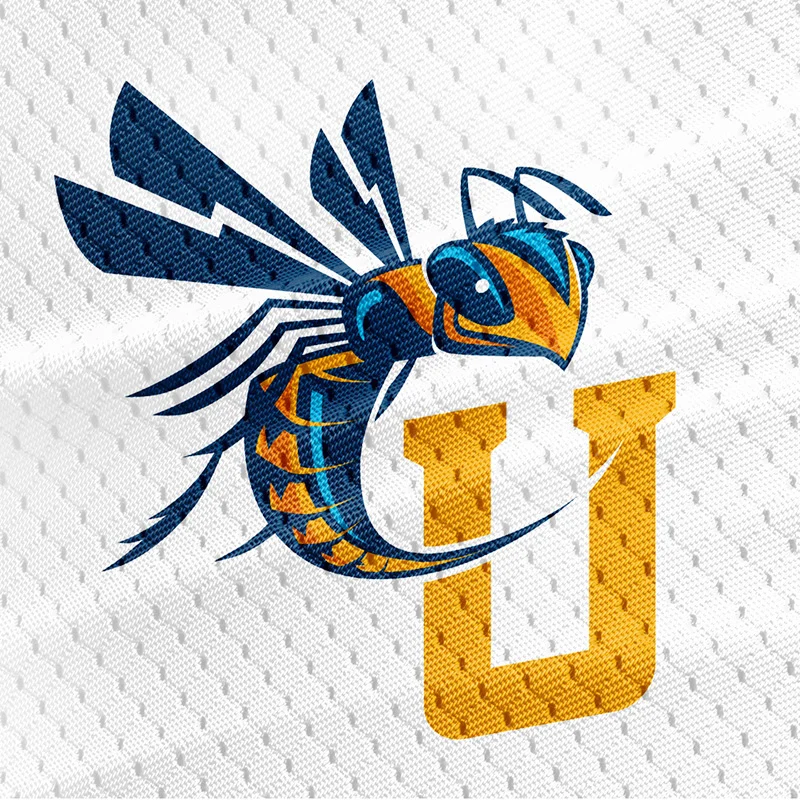 Cedarville_university_yellowjacket.jpg