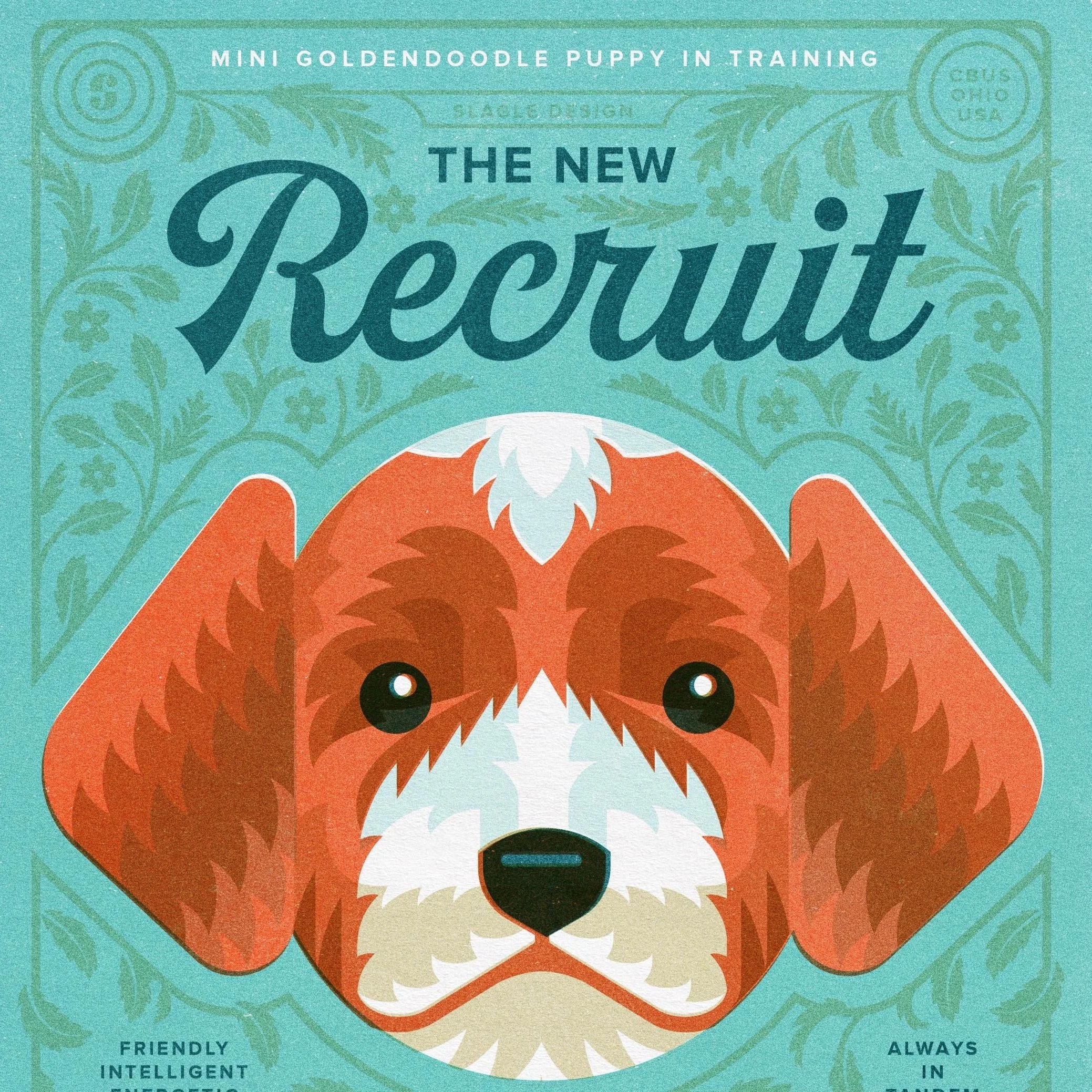 The New Recruit (Copy)