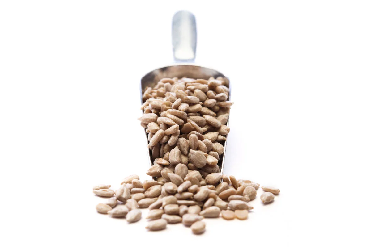 A metal scoop filled with sunflower seeds, with some seeds spilled out onto a white background.