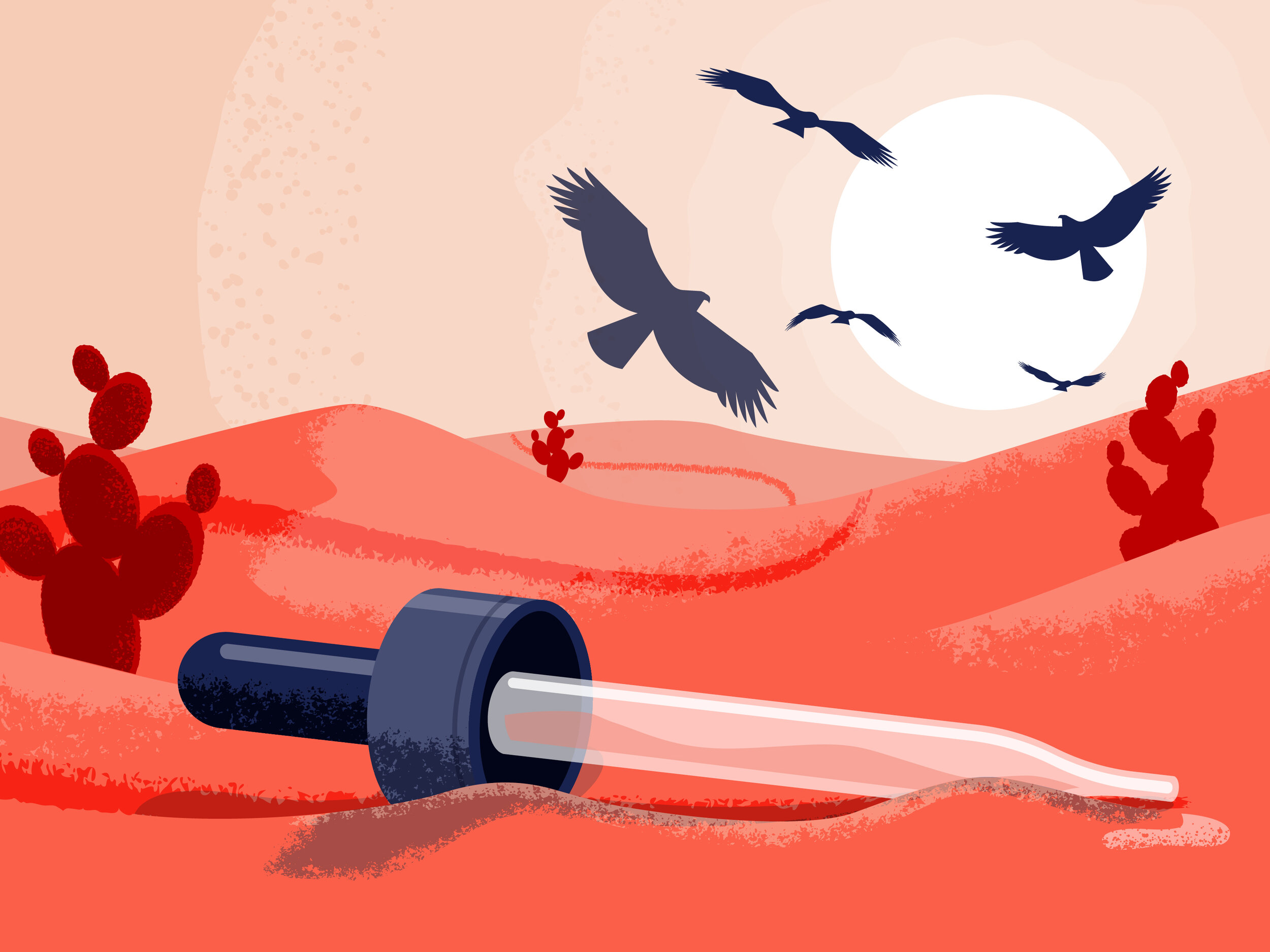 Red desert landscape with cacti, a glass dropper on the ground, and birds flying in front of a large white sun in the sky.