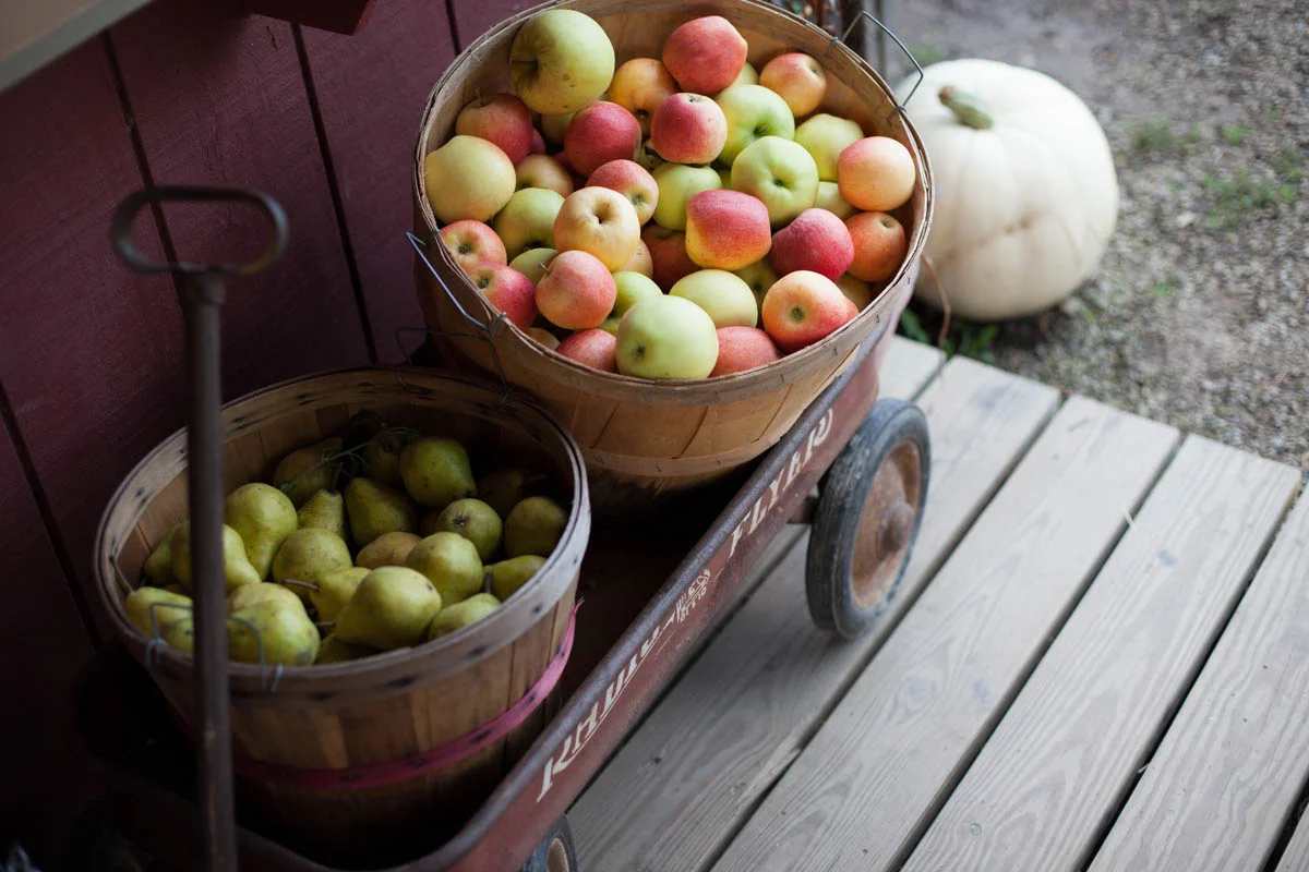Two baskets filled with fresh apples on a wooden wagon, positioned outside near a pumpkin.