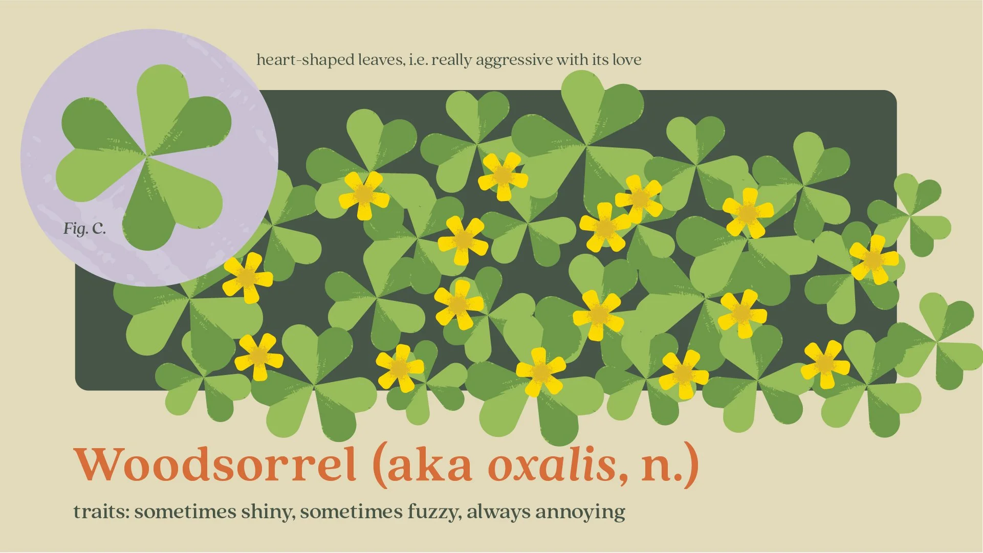 Ortho_Weeds Gone Wild_Common WeedsPYG__04.jpg