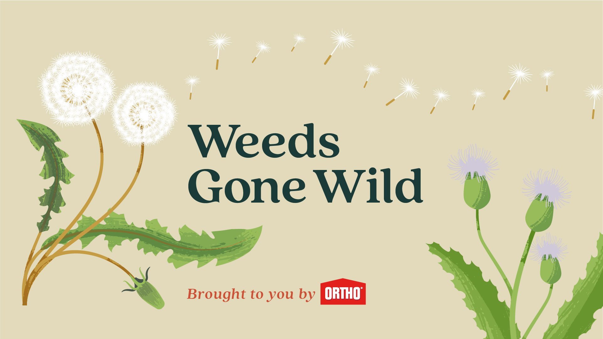 Ortho_Weeds Gone Wild_How Weeds Spread_PYG_intro.jpg