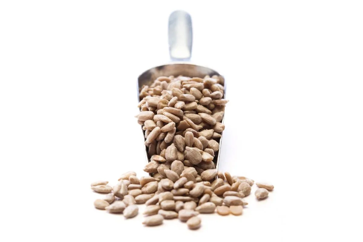 Sunflower seeds spilling out of a metal scoop against a white background.